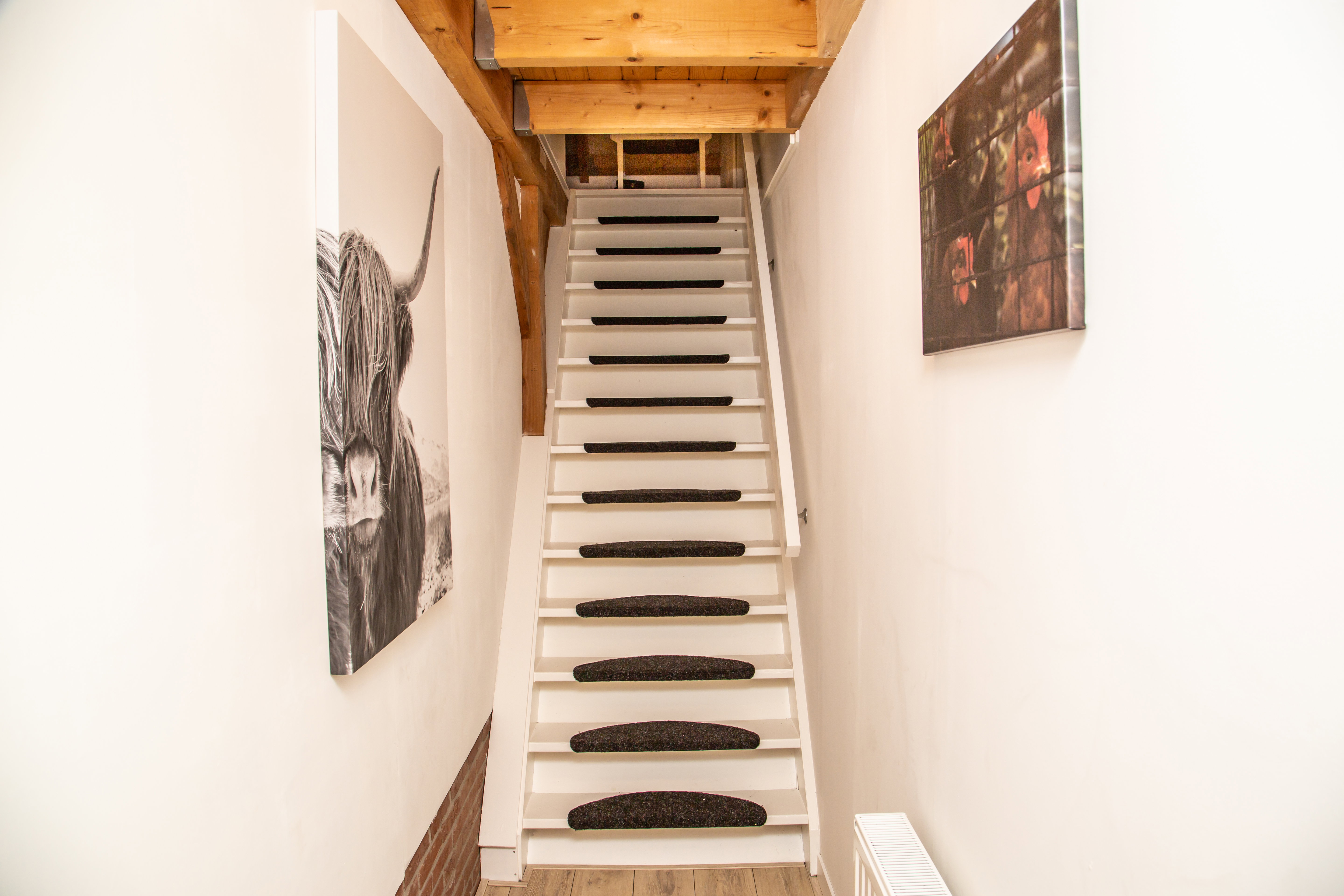 - image: 12