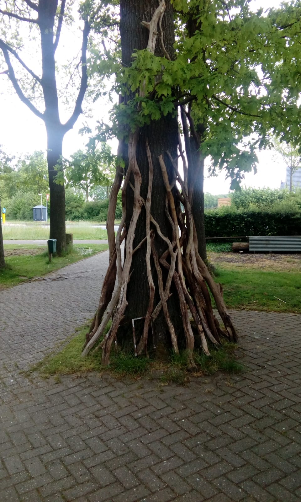 - image: 28
