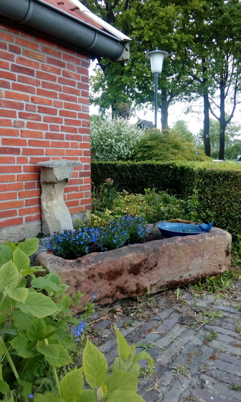 - image: 23