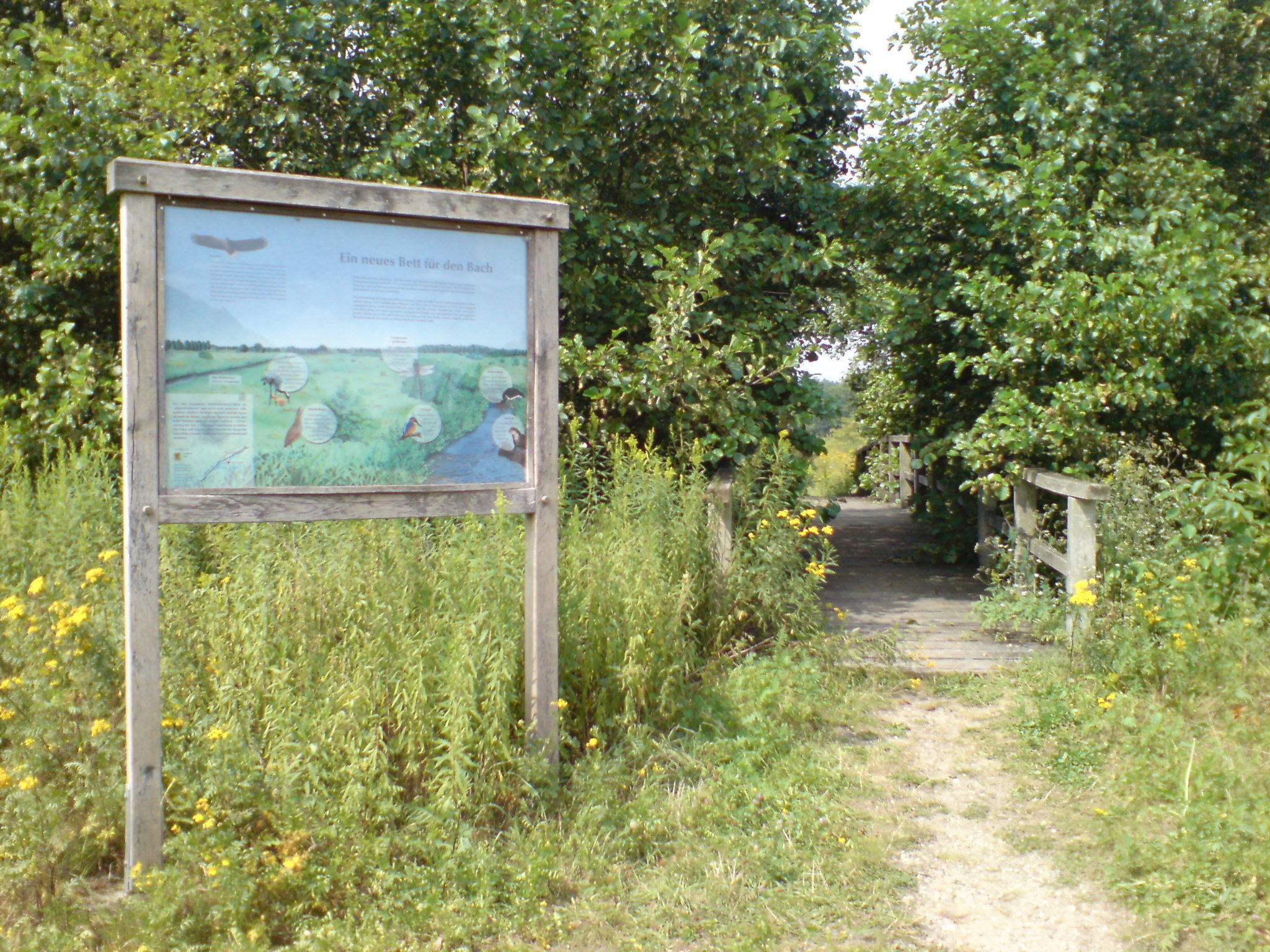 - image: 13
