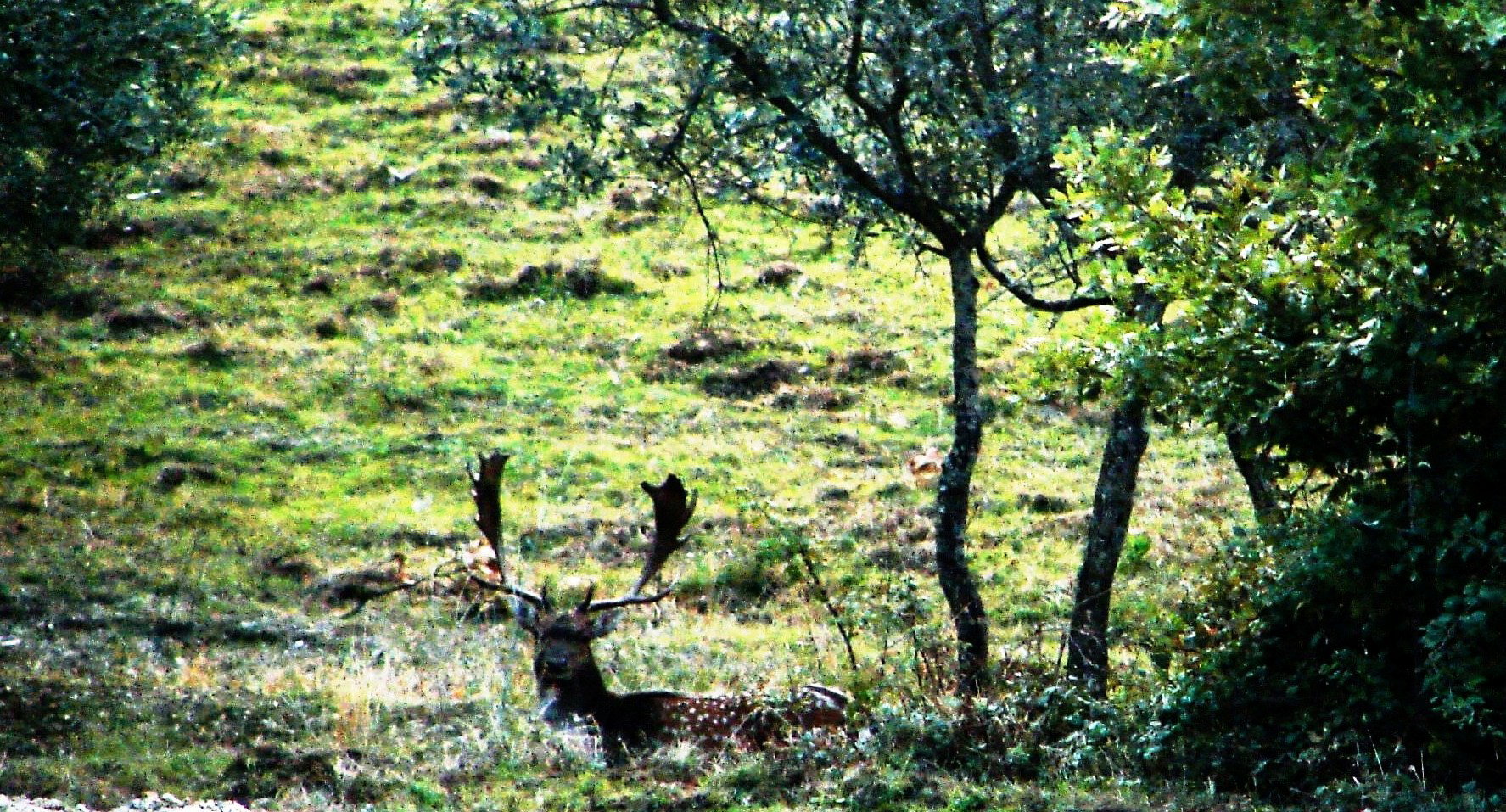 Natuurhuisje in Loro Ciuffenna
