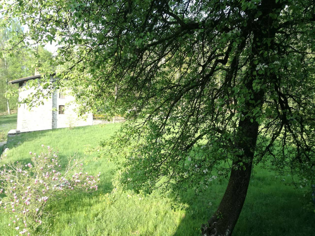 Naturhäuschen in Alice superiore (Val di Chy)