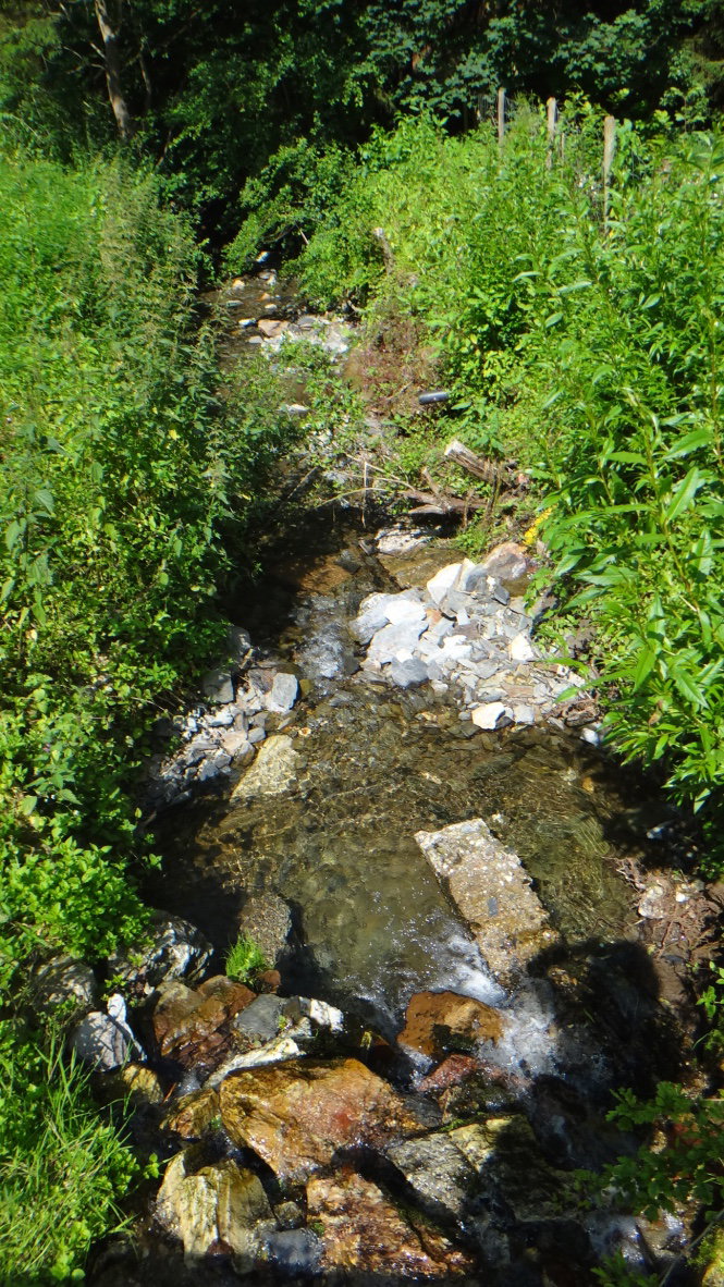 - image: 12