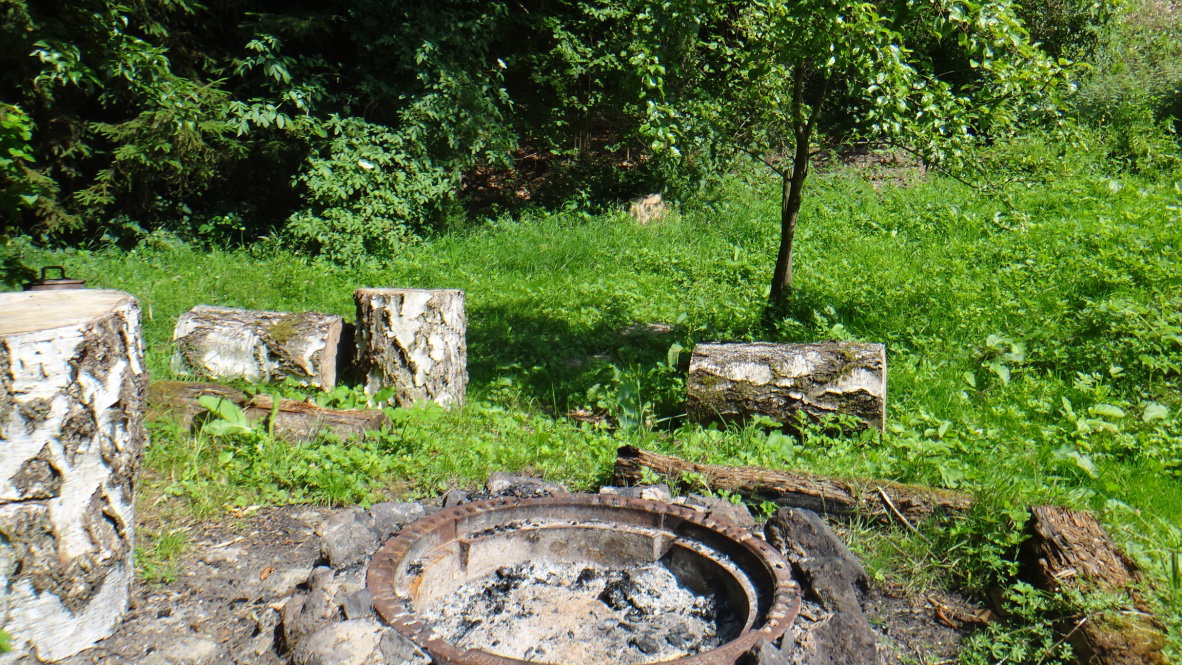 - image: 11