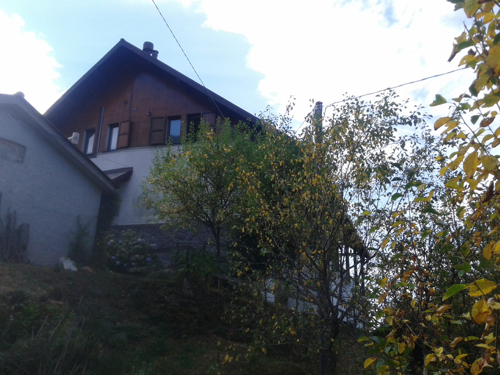 - image: 14