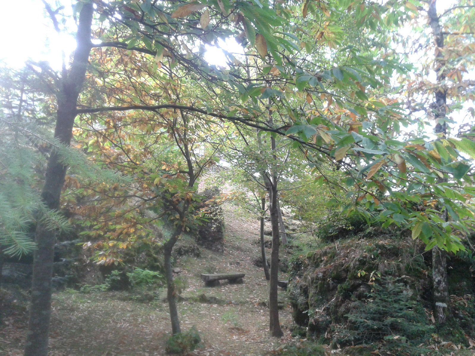 - image: 24