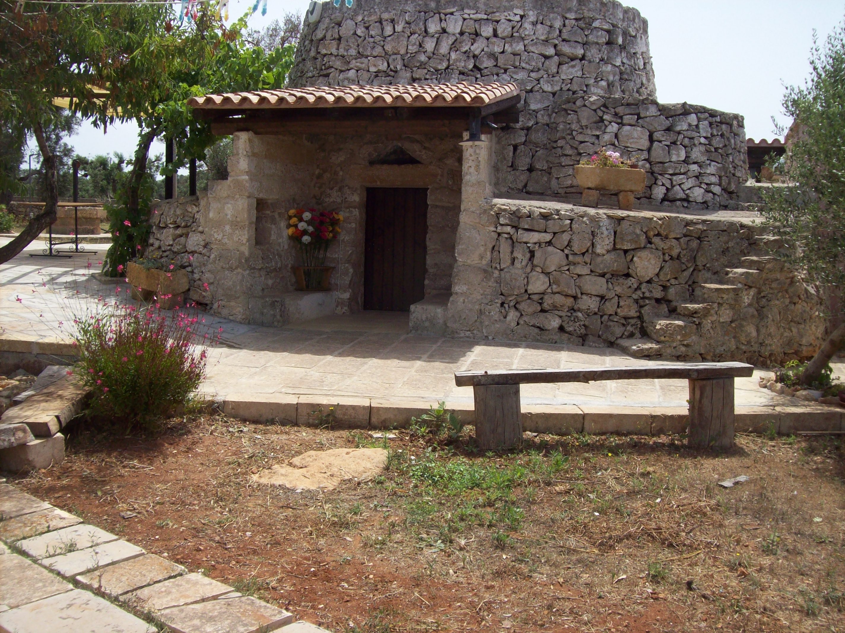 - image: 11