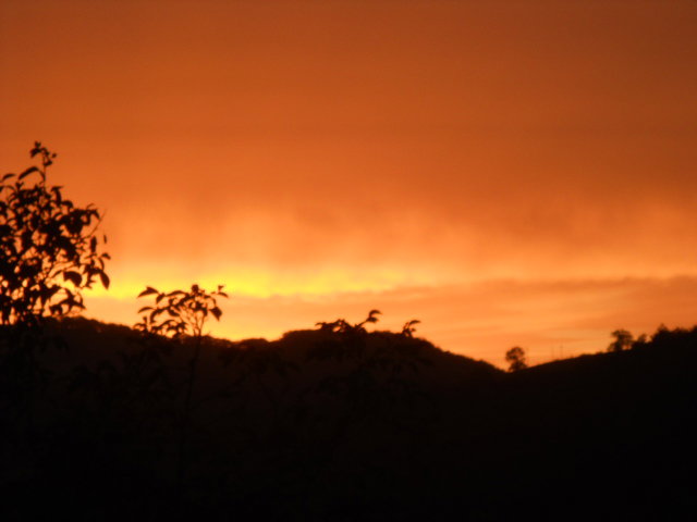 - image: 5