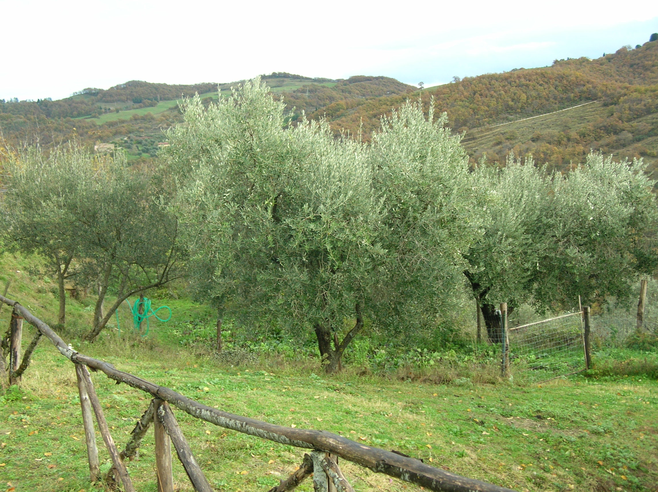 - image: 9