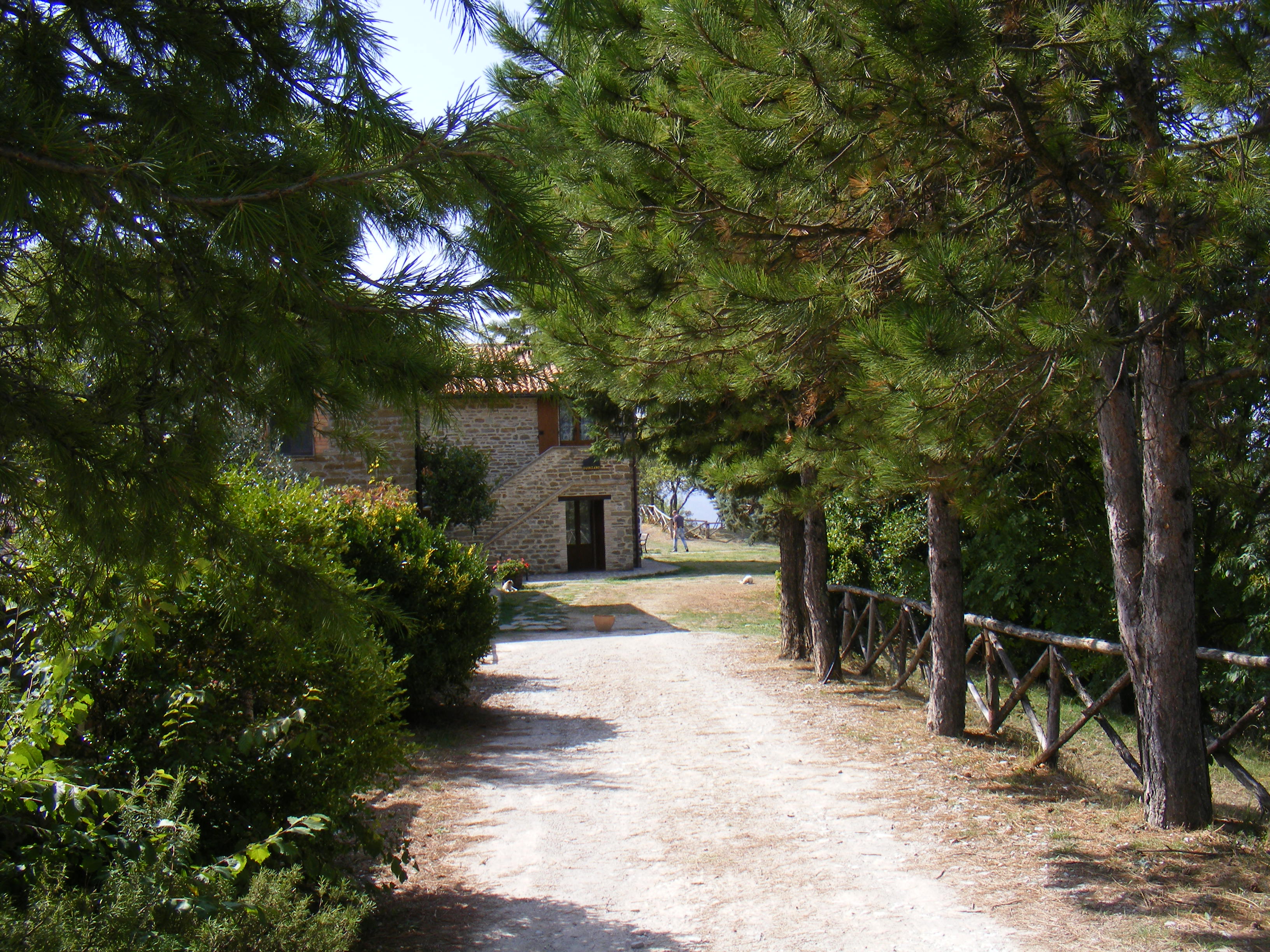- image: 1
