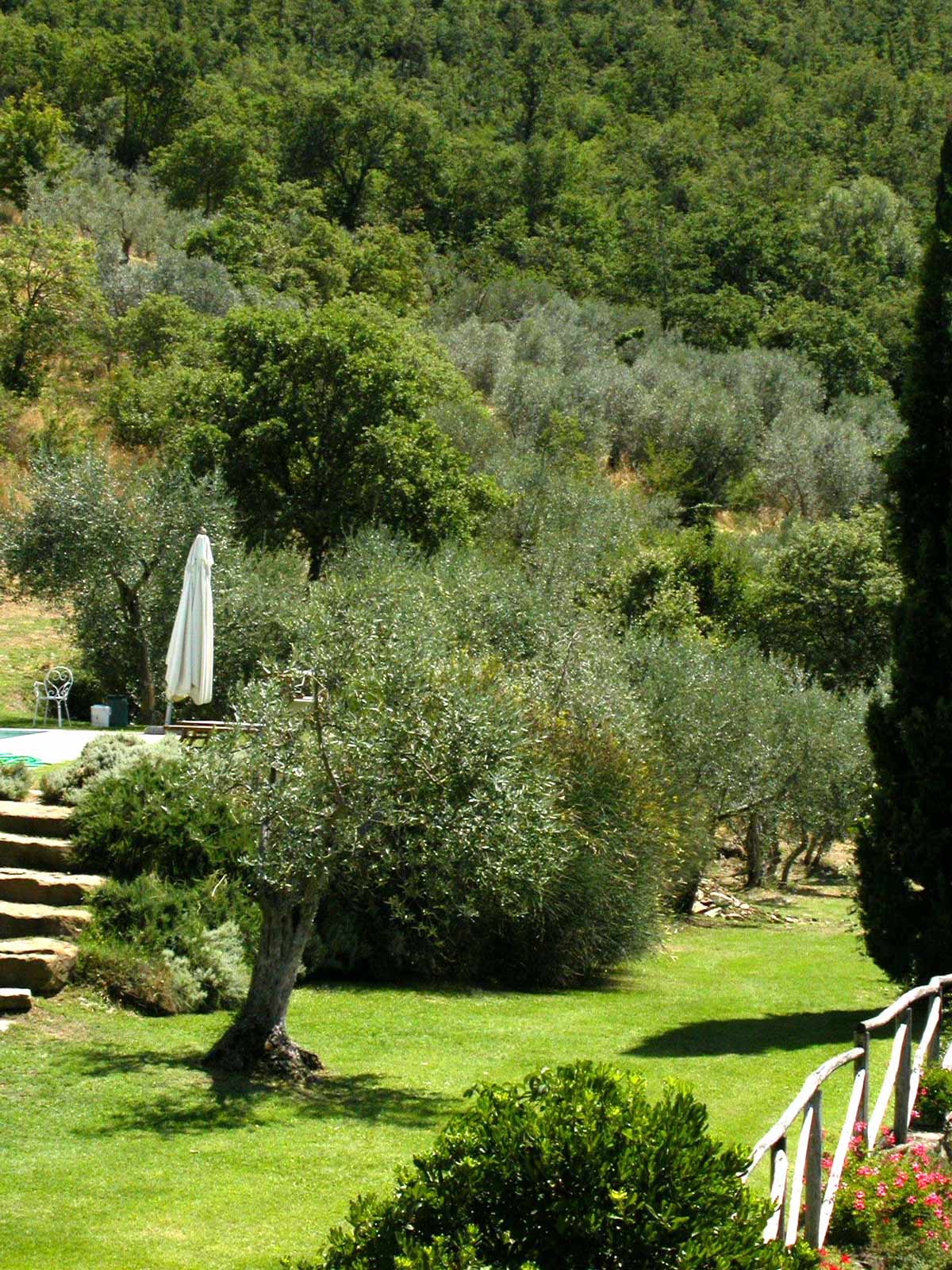 Casa nella natura a Ossaia