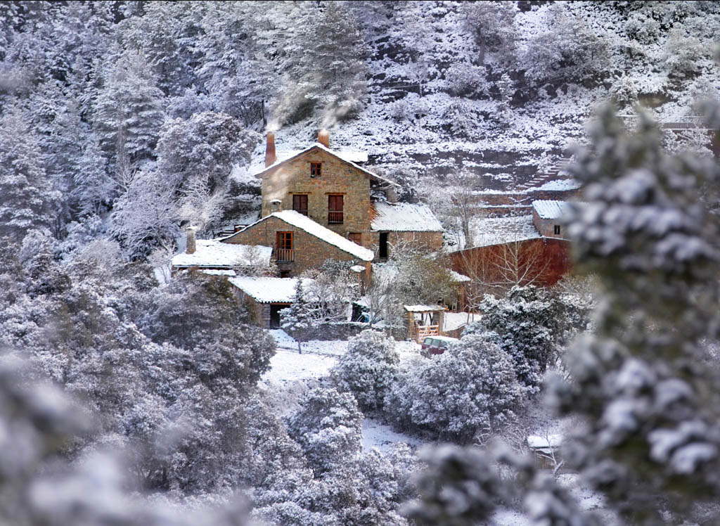 - image: 58
