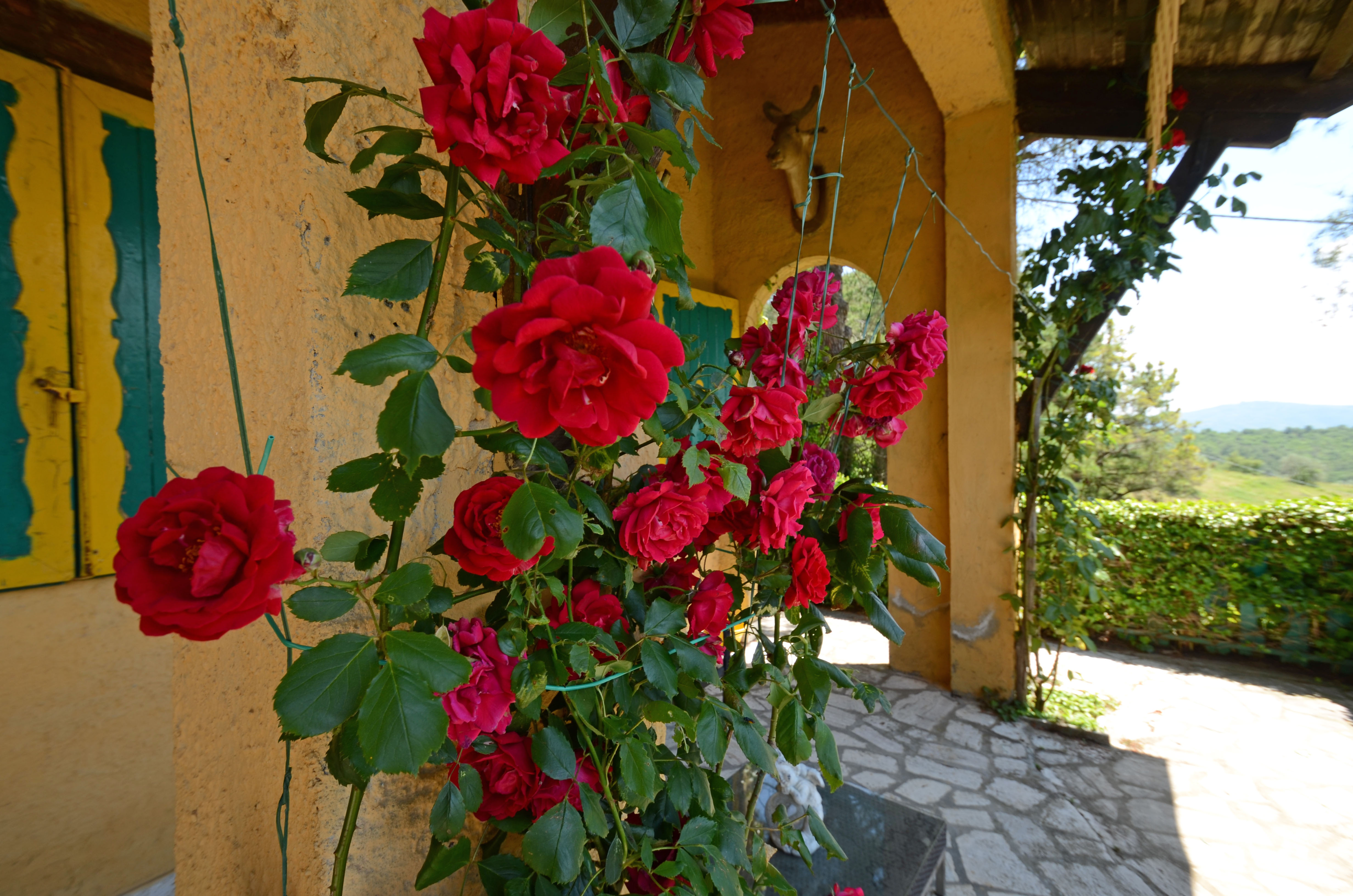 - image: 13