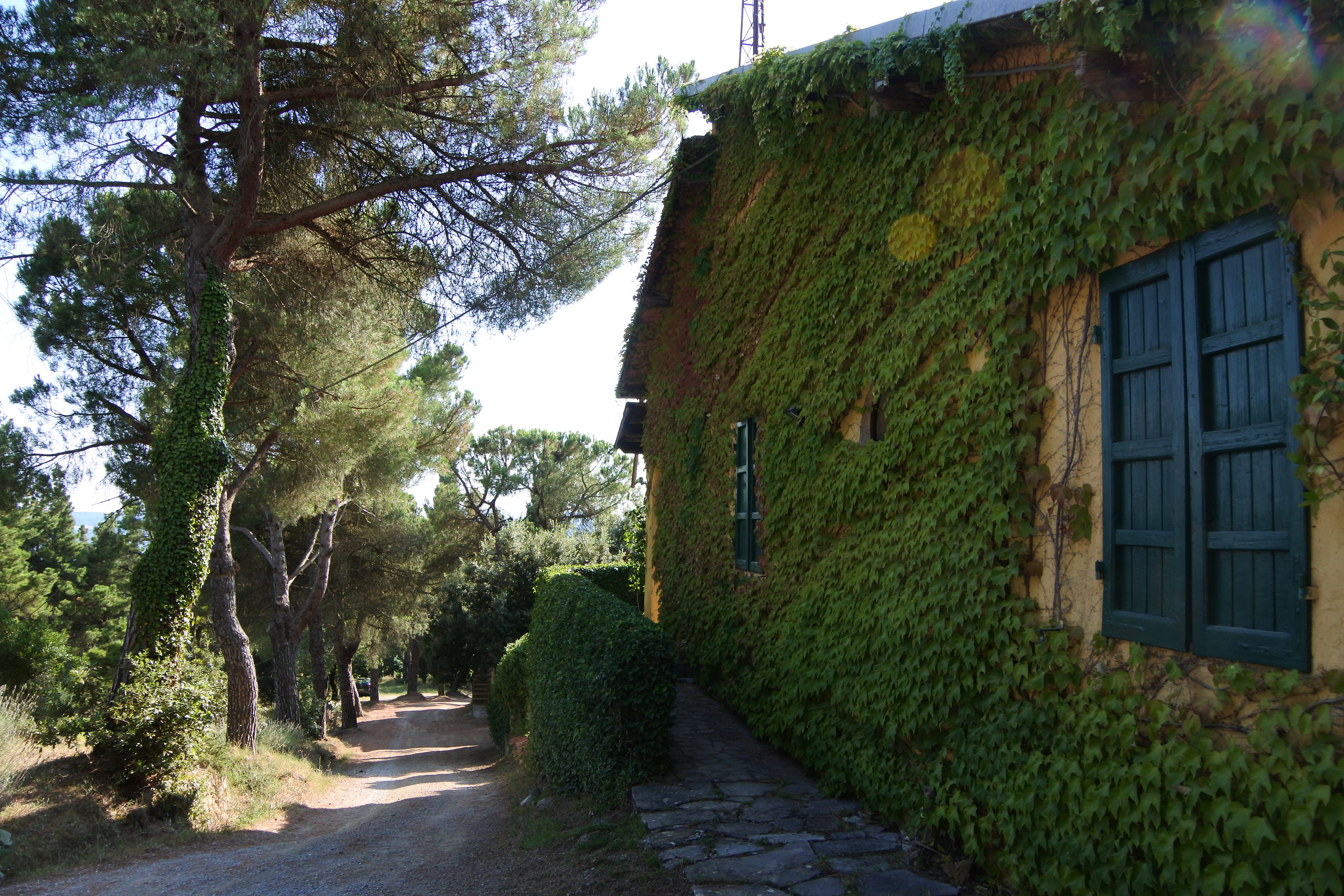 - image: 11