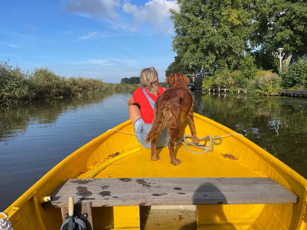 Natuurhuisje in Leens