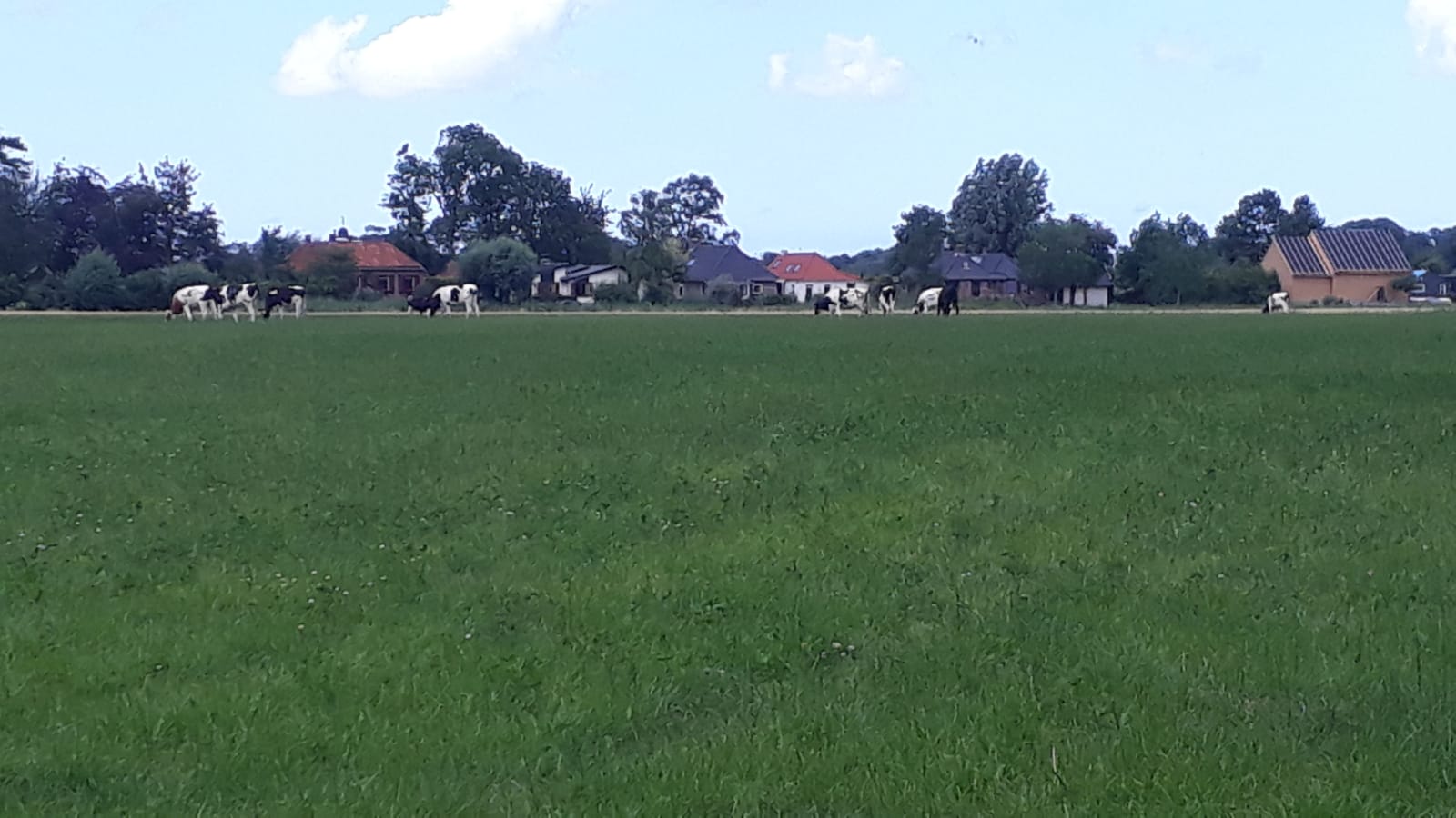 Natuurhuisje in Leens