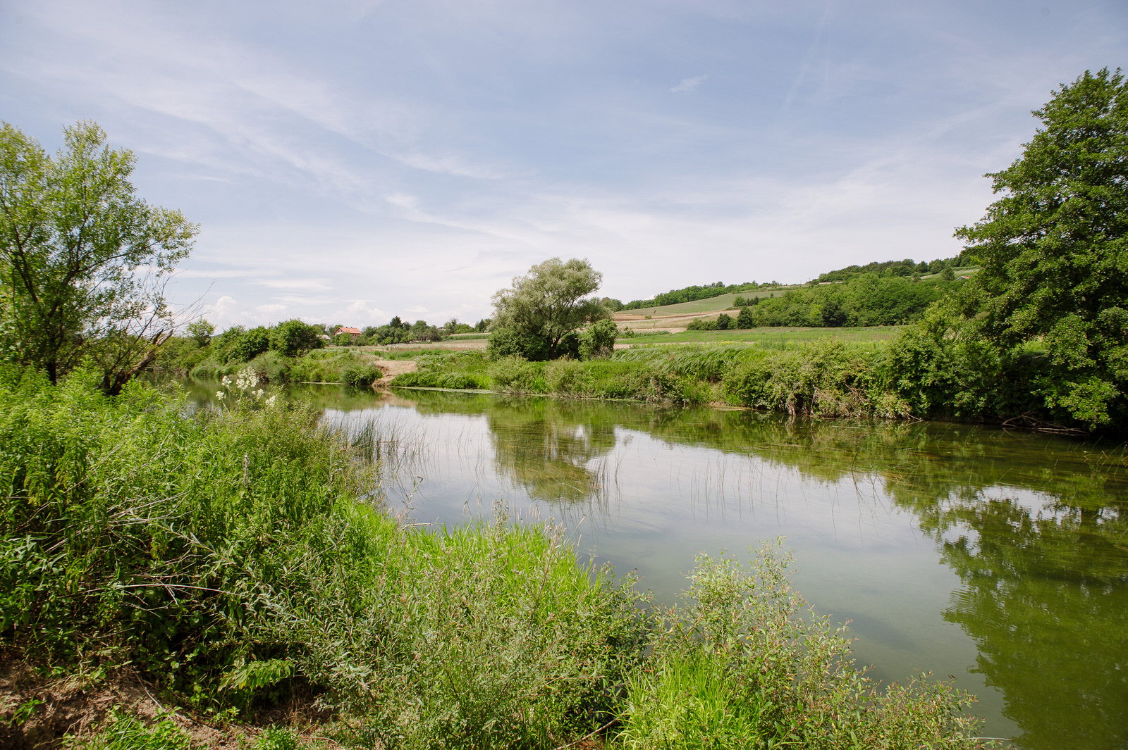 - image: 34