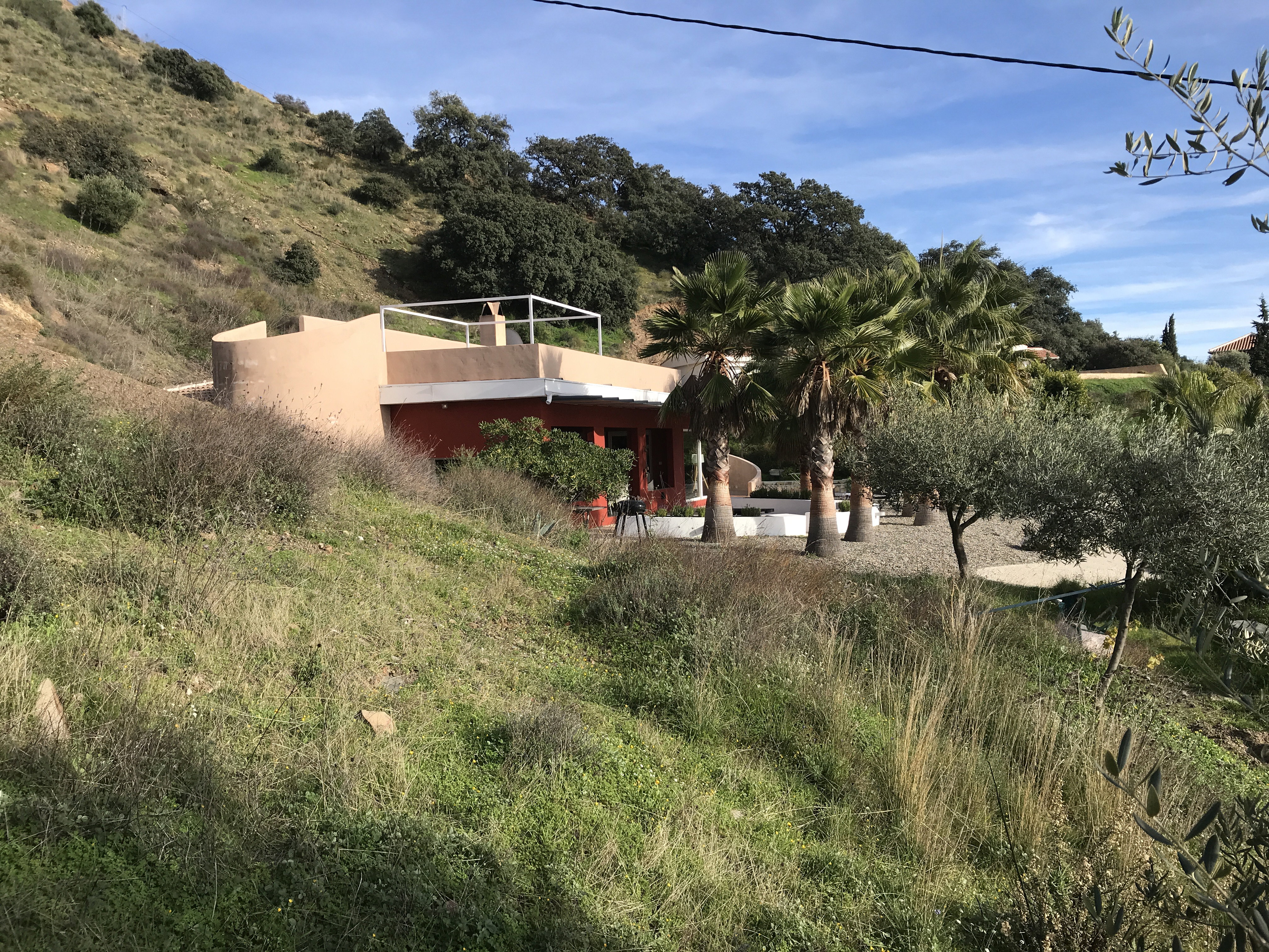 - image: 12