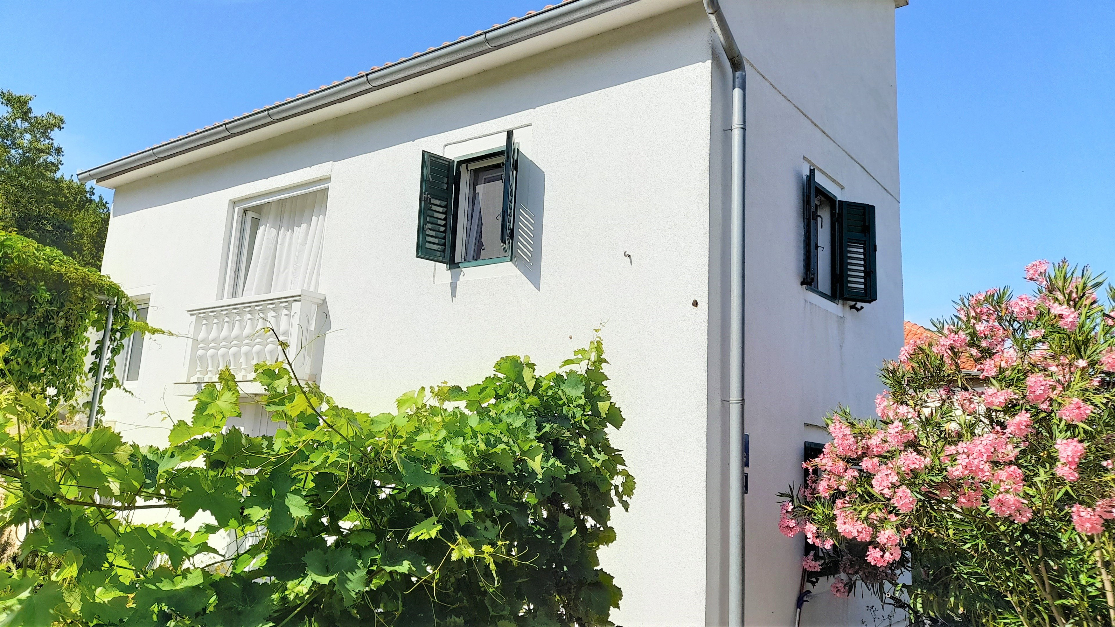- image: 61