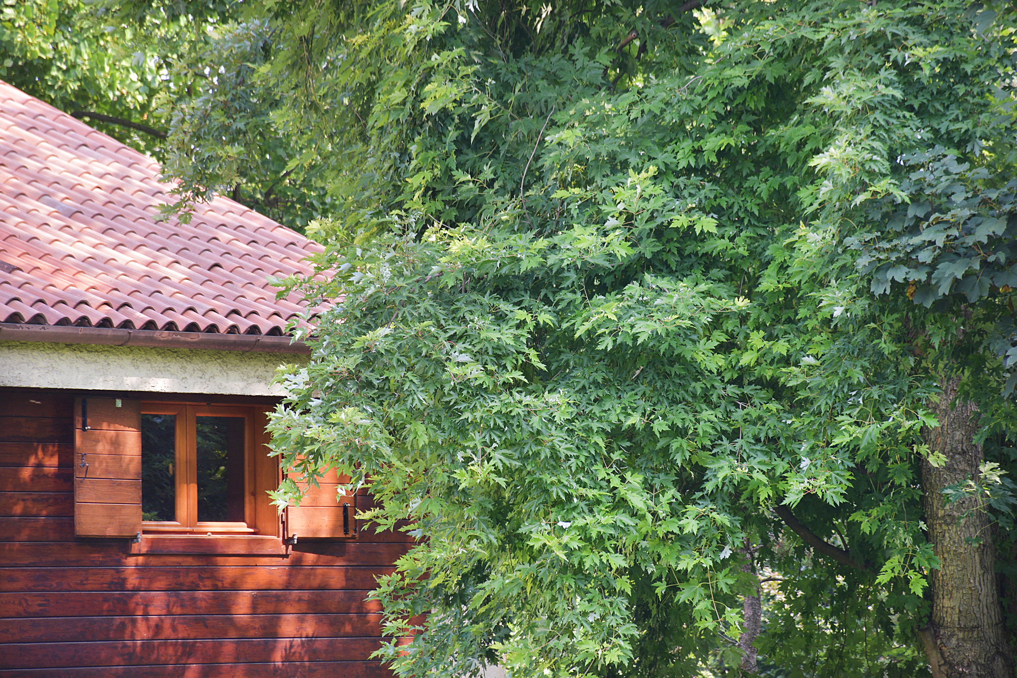 Natuurhuisje in Treviso