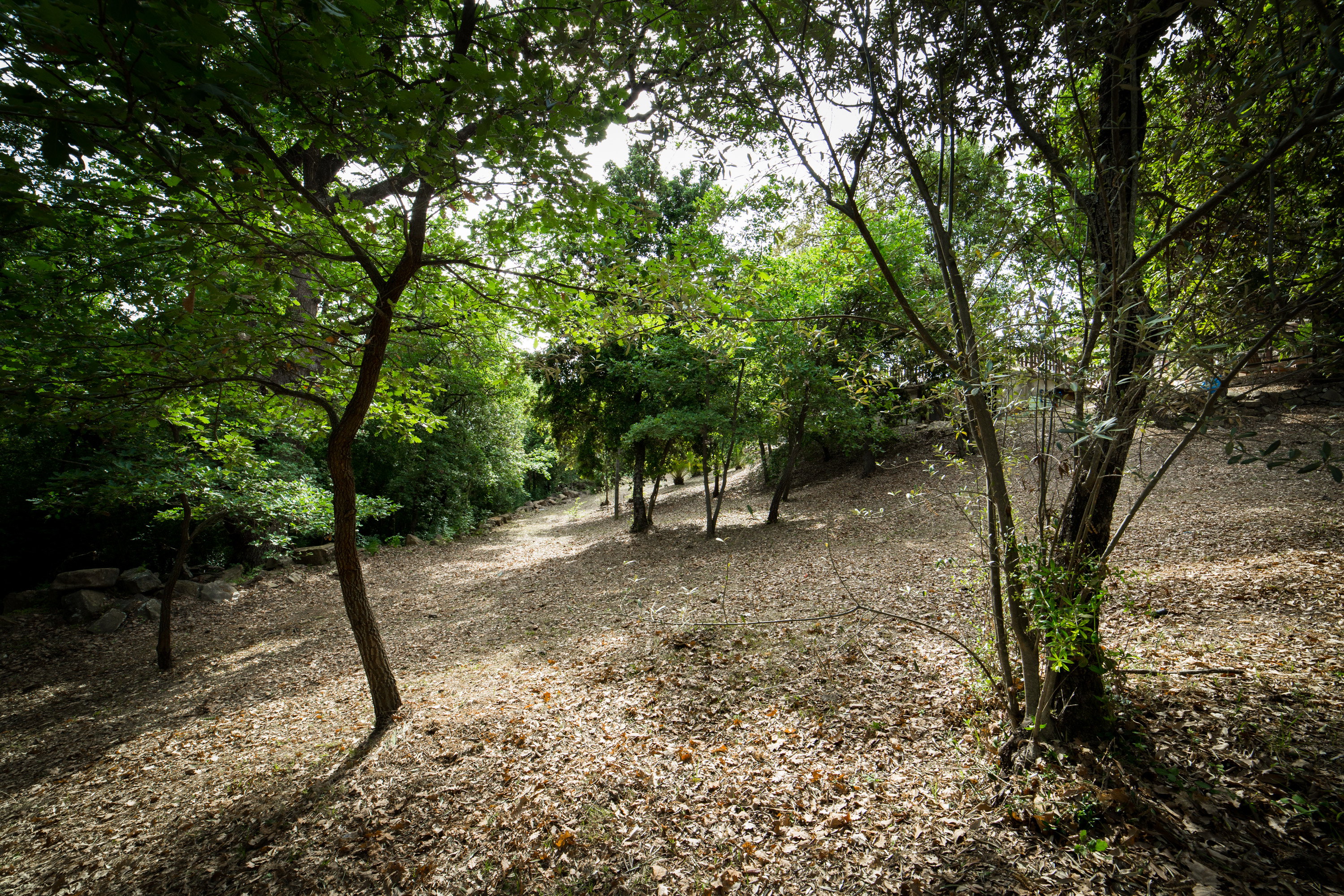 Nature house in Monterotondo marittimo