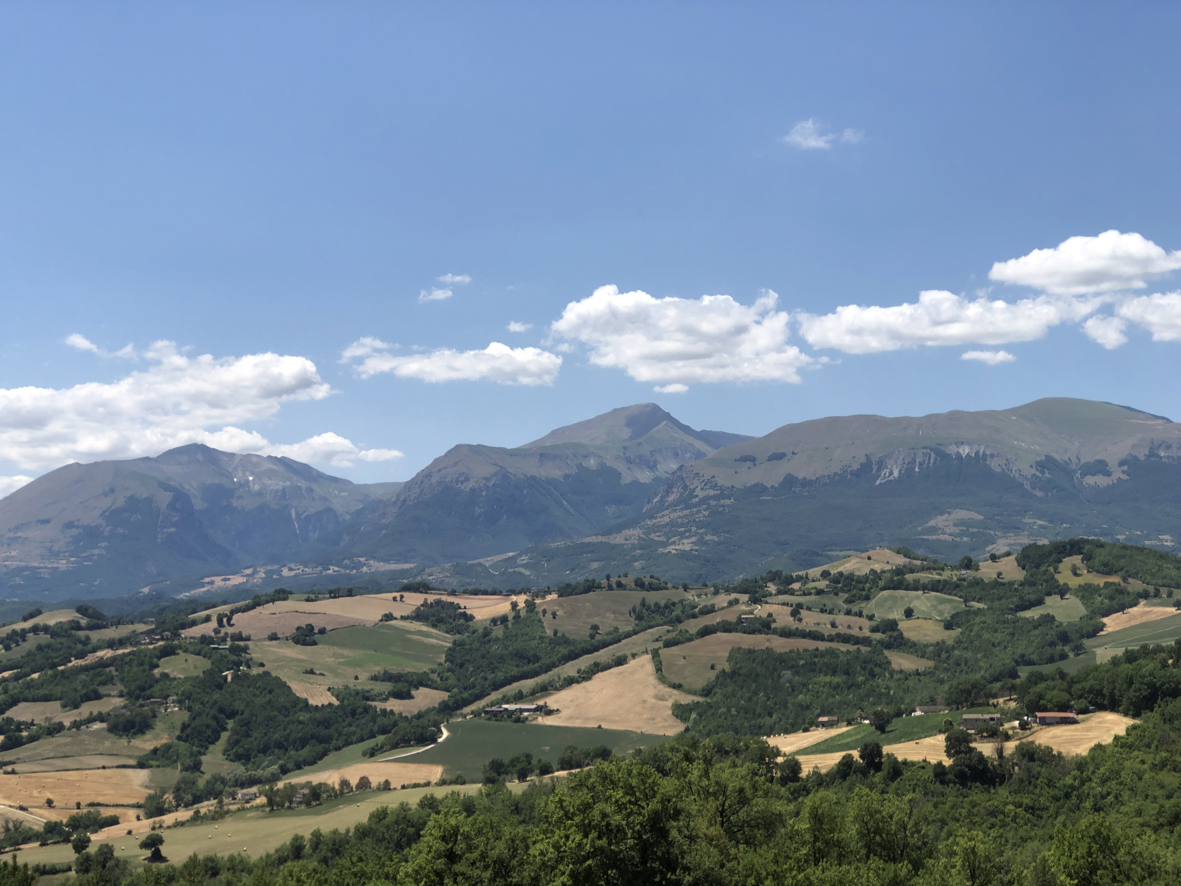 - image: 26