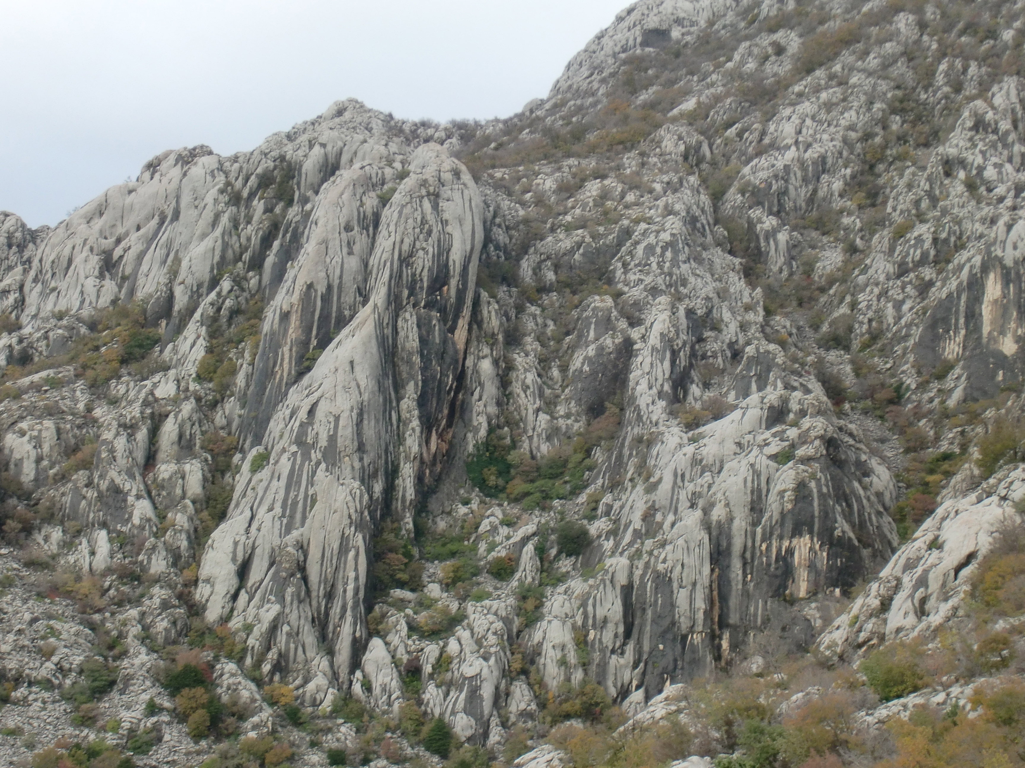 - image: 59