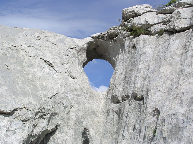 - image: 63