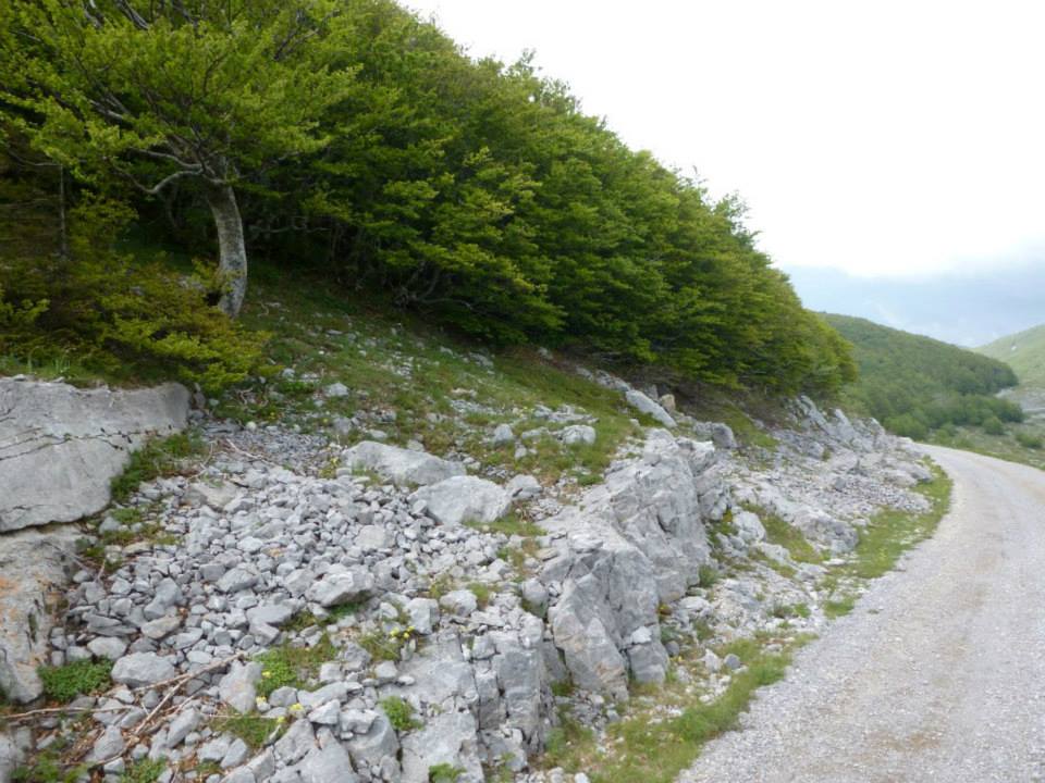 - image: 65