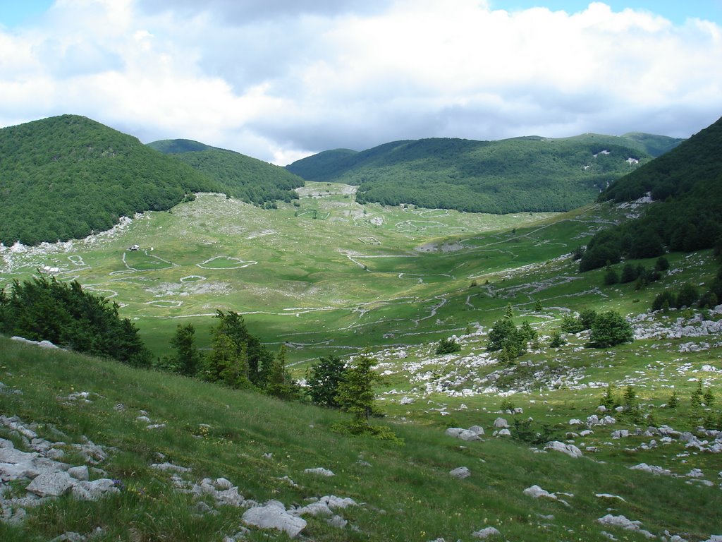 - image: 61