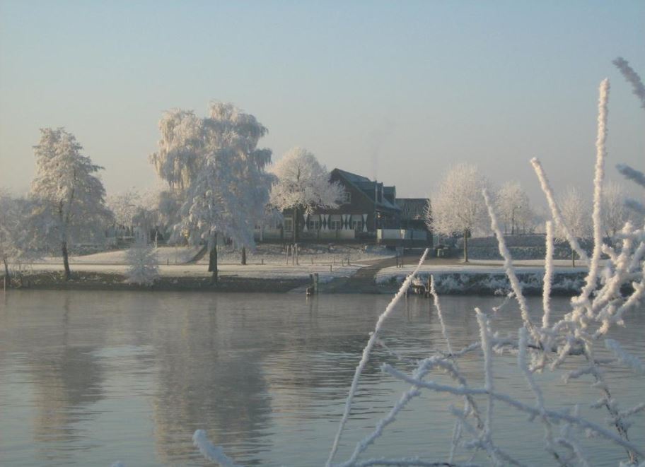 - image: 25
