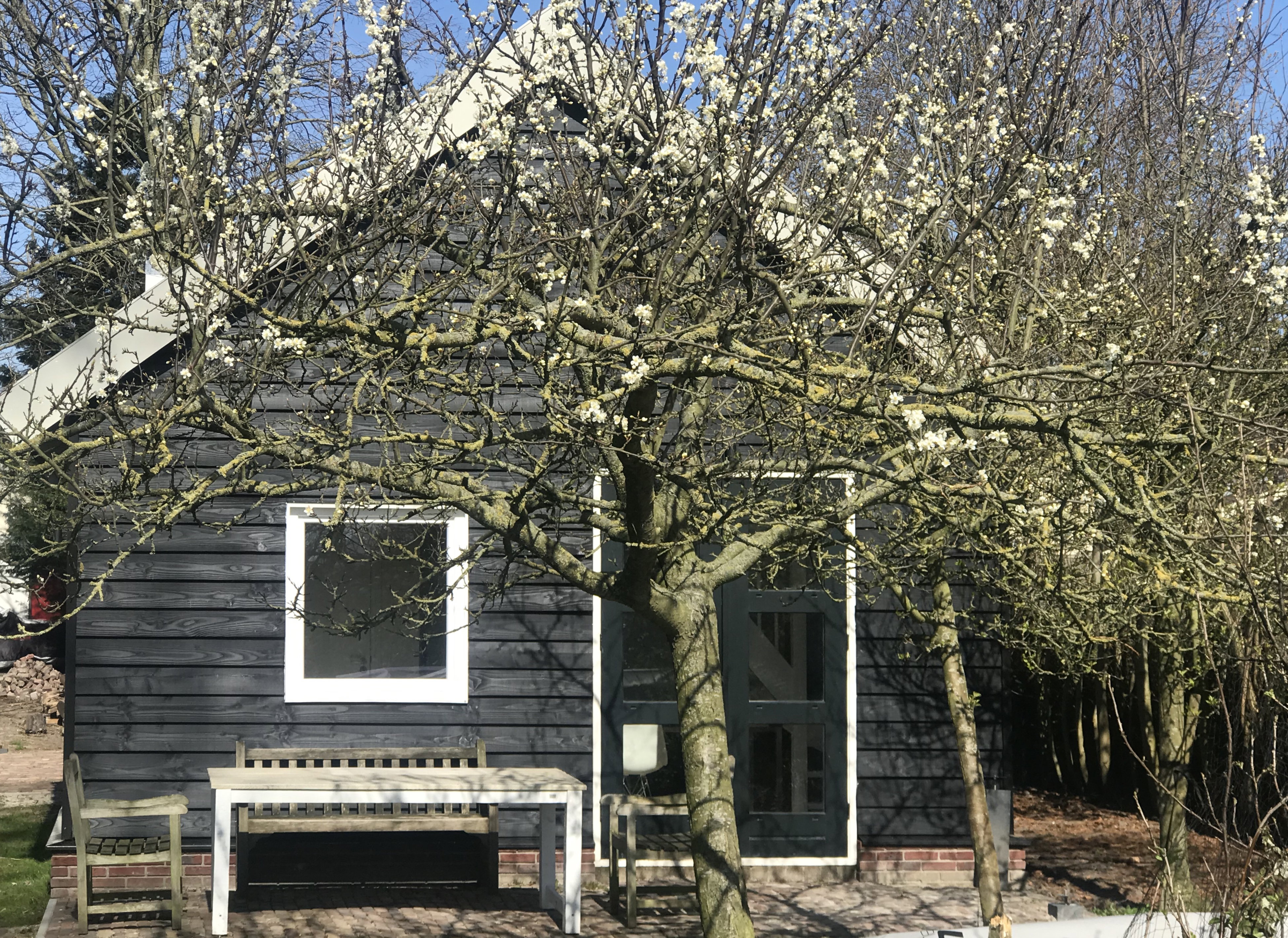 Maison nature à Andijk