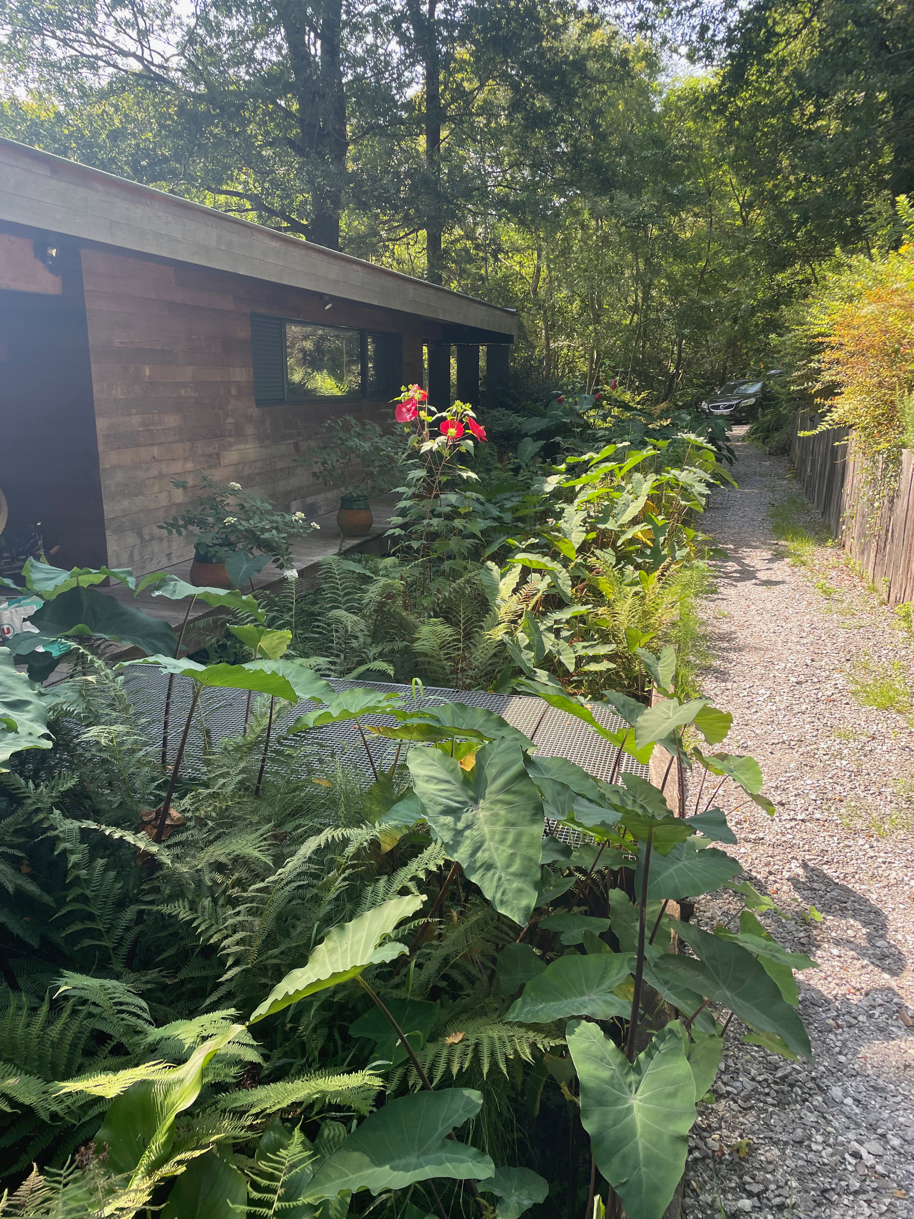 Maison nature à Soustons