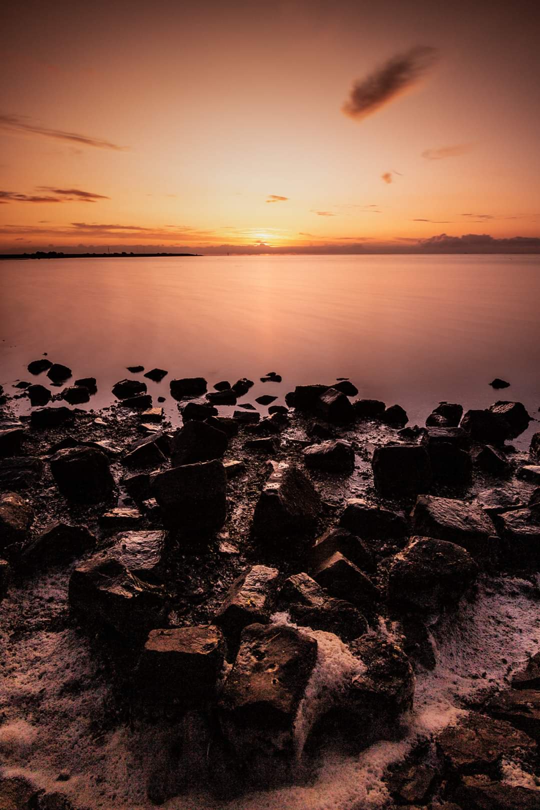 - image: 24
