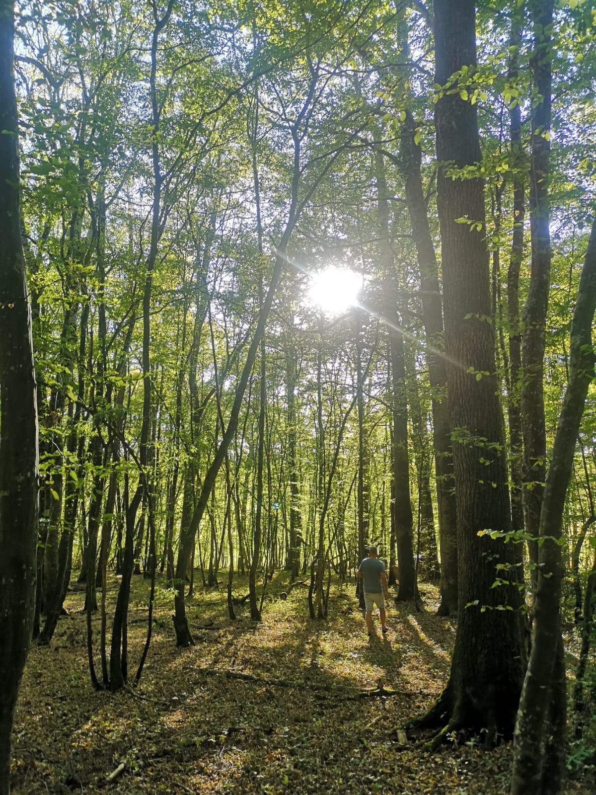 Naturhäuschen in Bétête