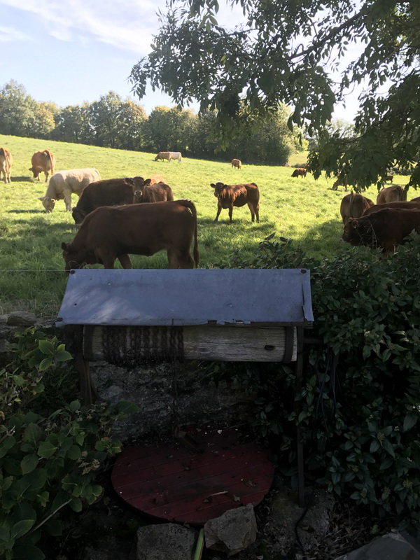 Naturhäuschen in Bétête