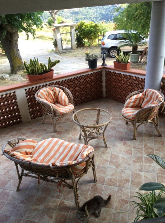 - image: 2