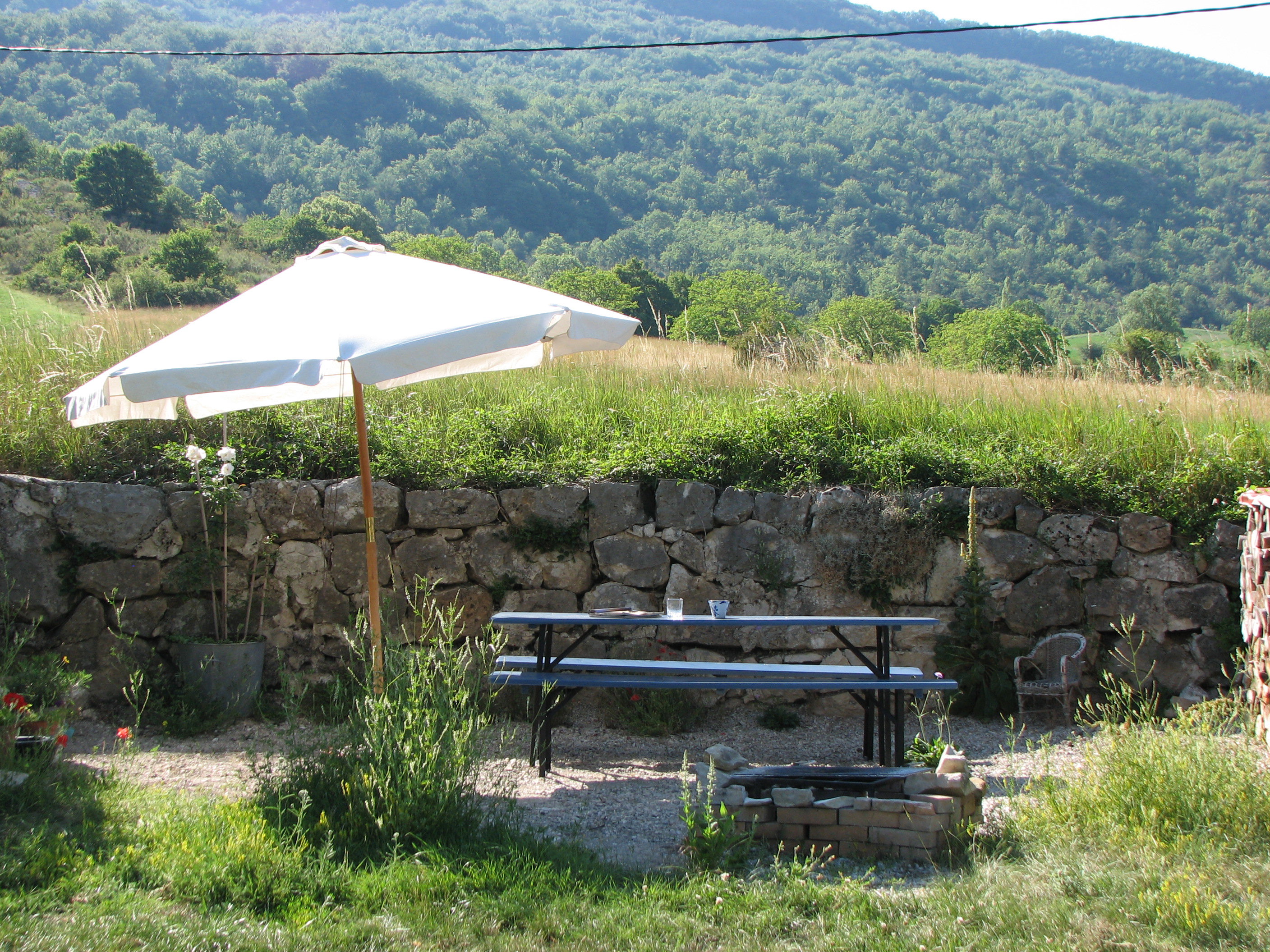 - image: 12