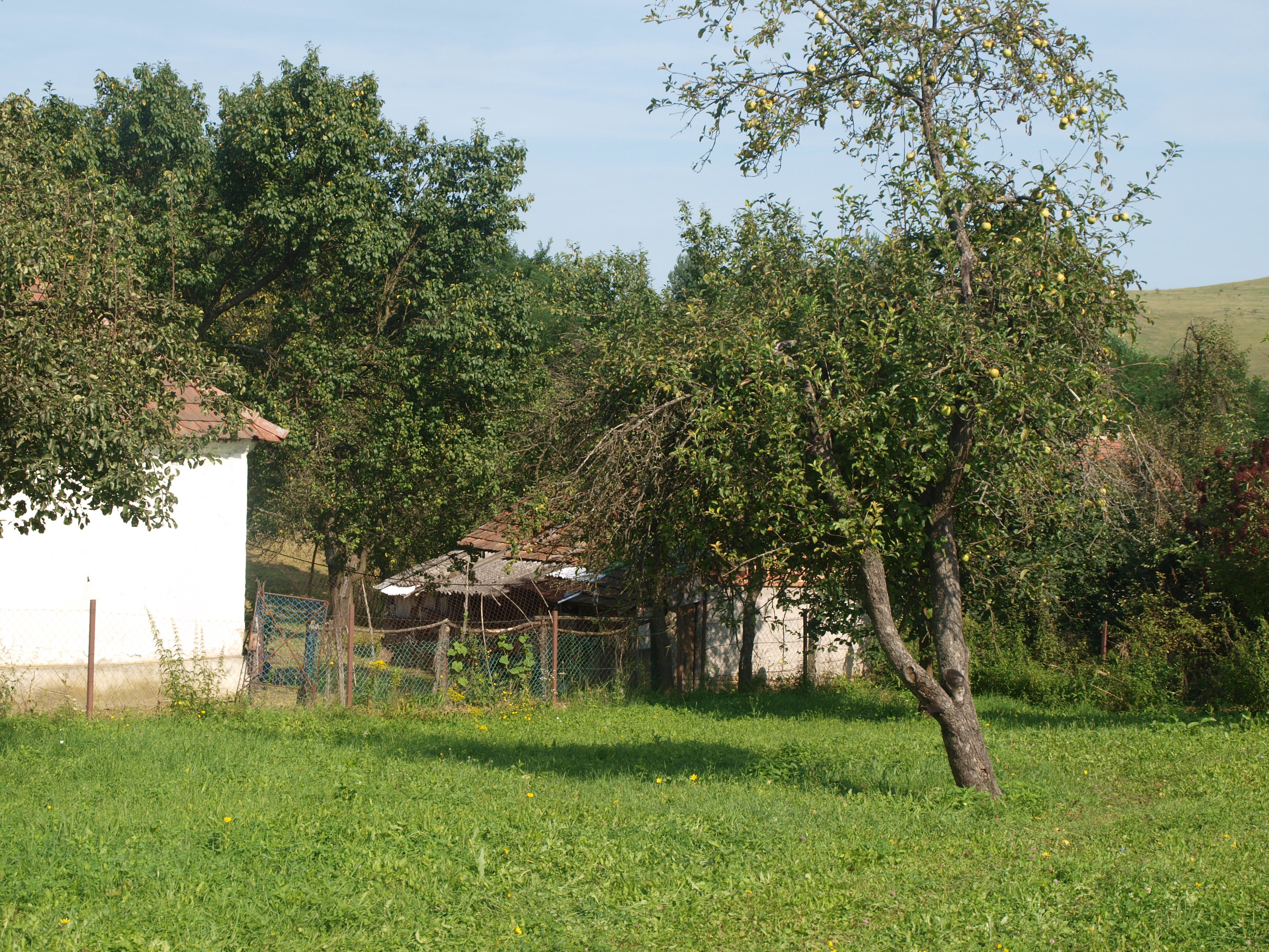 - image: 19