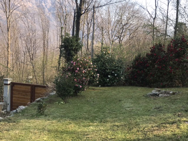 Natuurhuisje in Omegna frazione di Gattugno