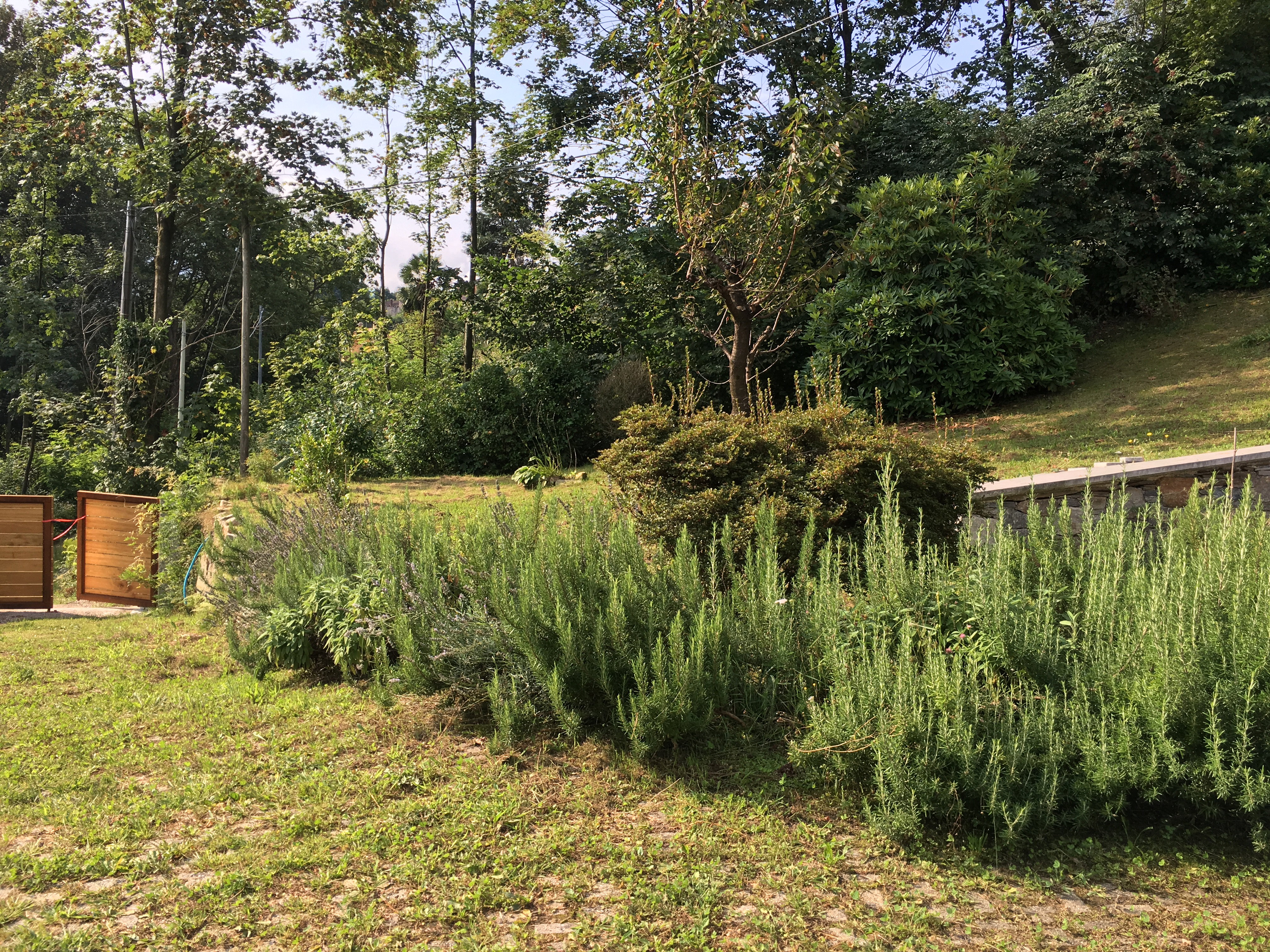 Natuurhuisje in Omegna frazione di Gattugno