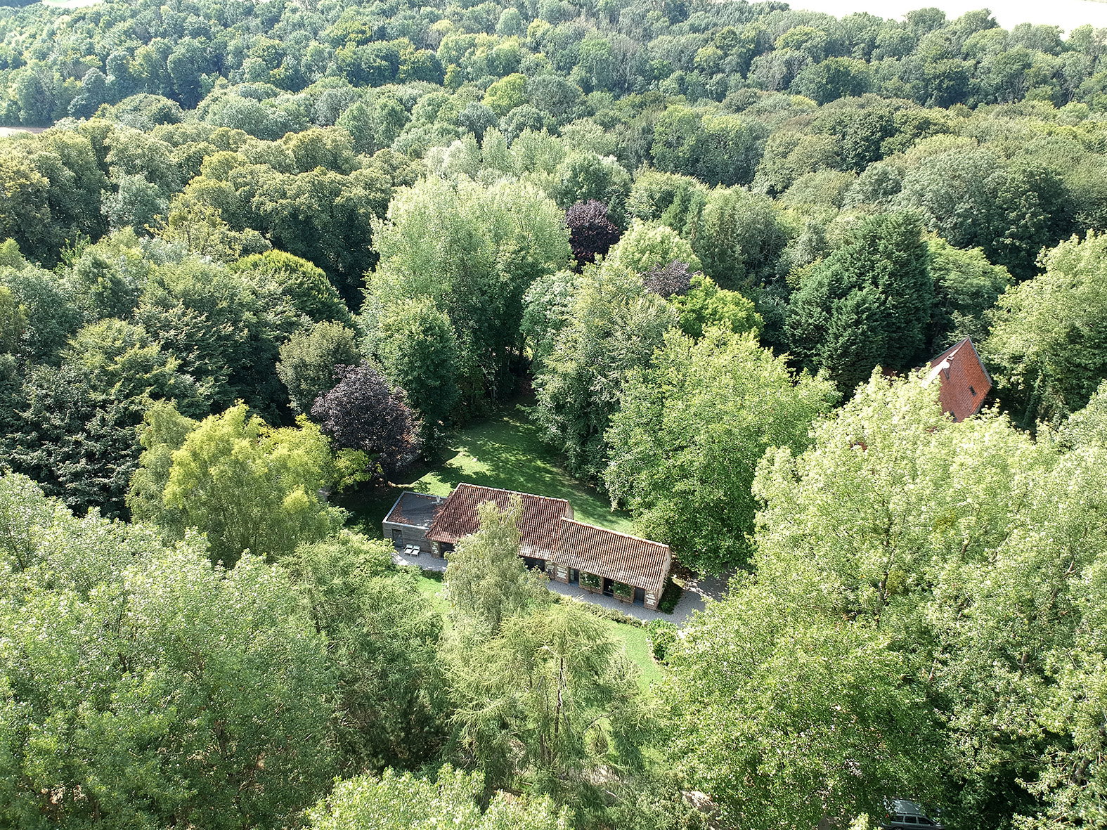 - image: 1