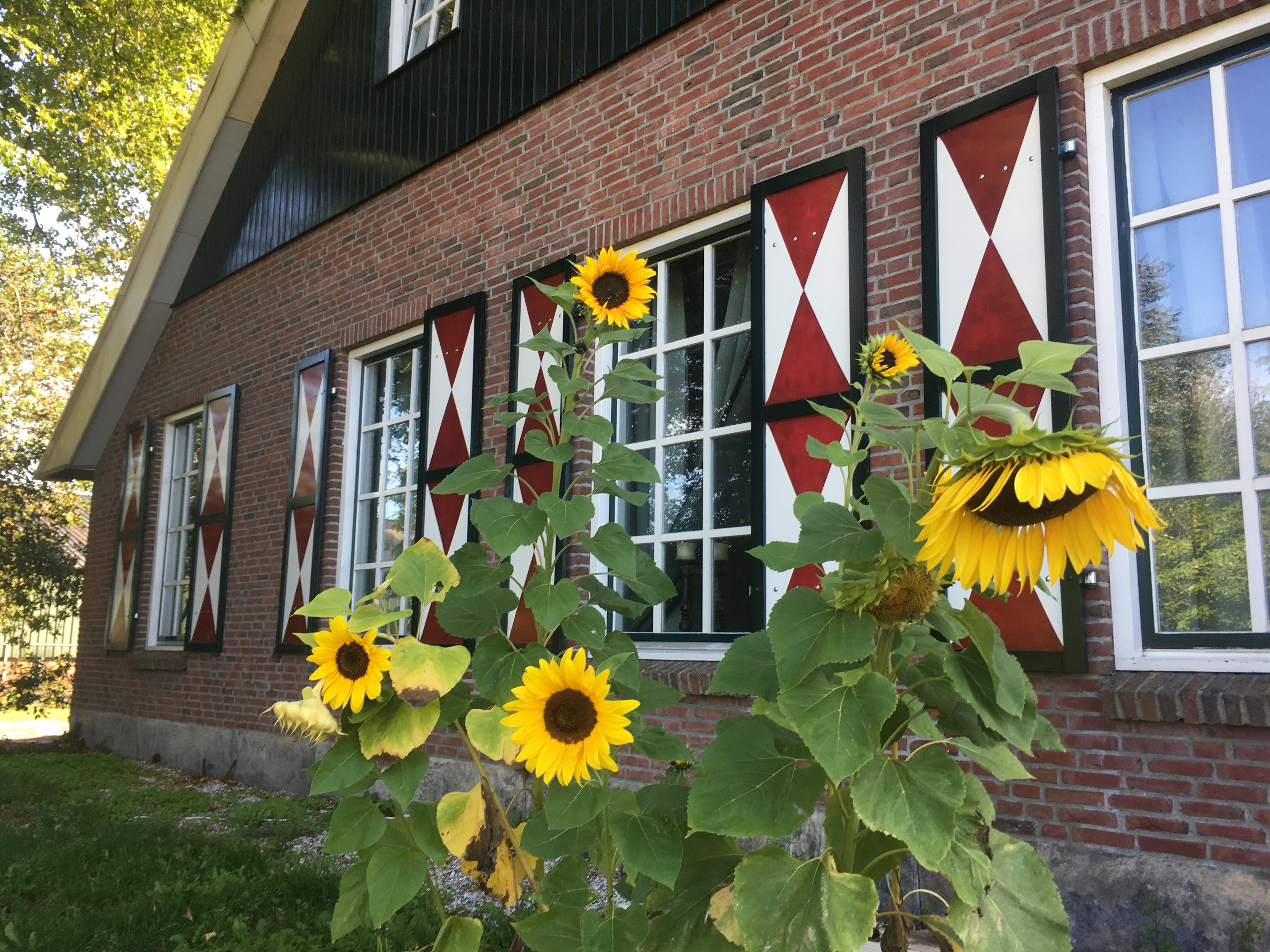 Naturhäuschen in Enschede