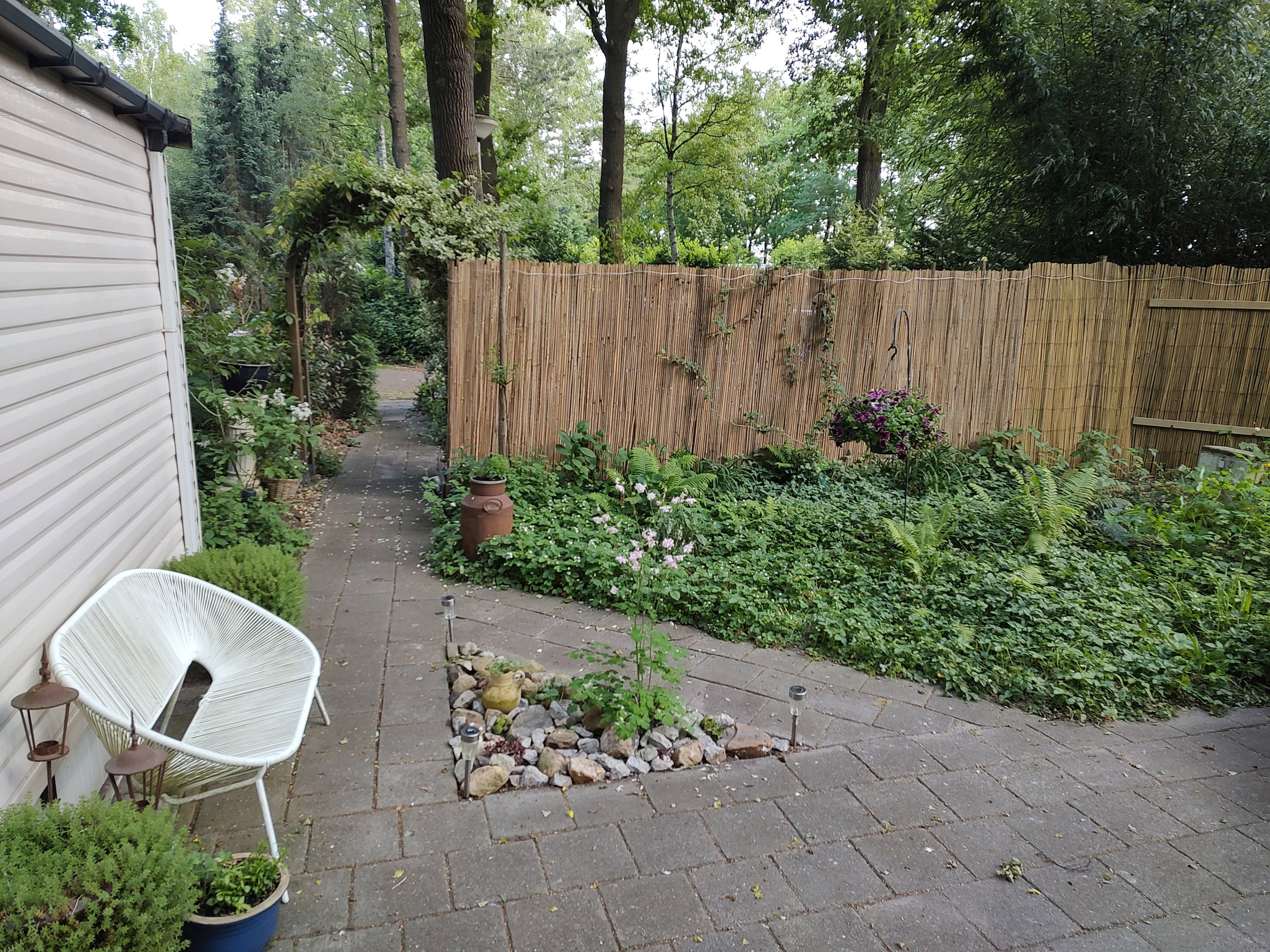 Natuurhuisje in Vledder