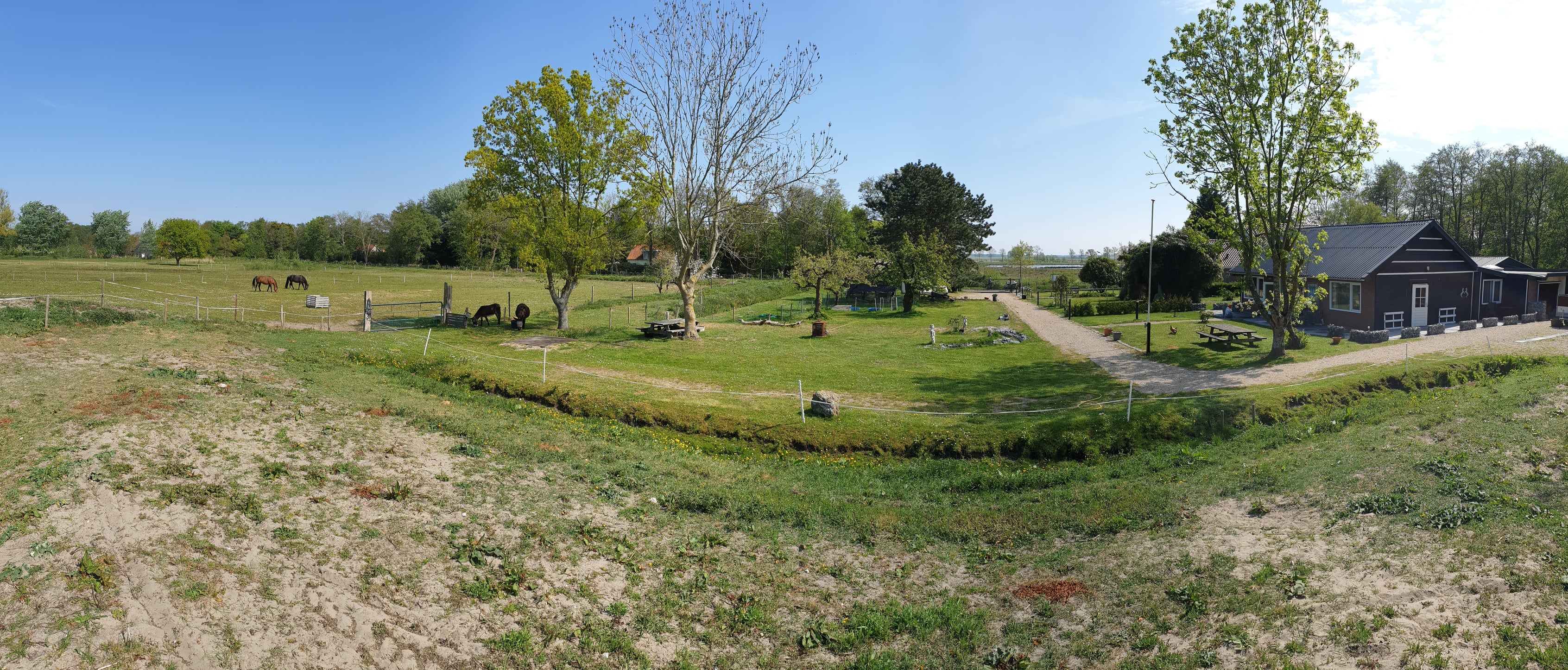 - image: 13