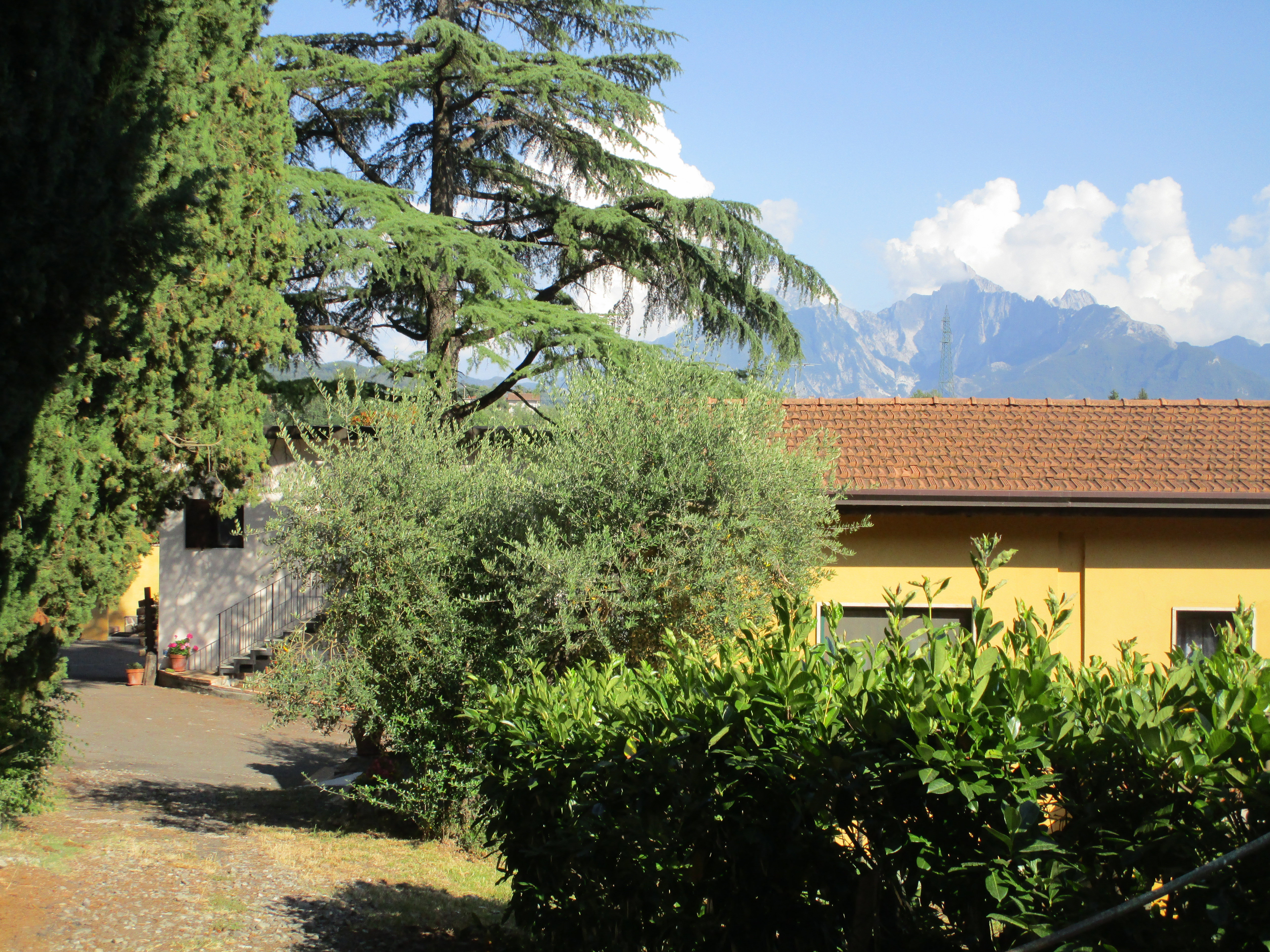 Natuurhuisje in fivizzano