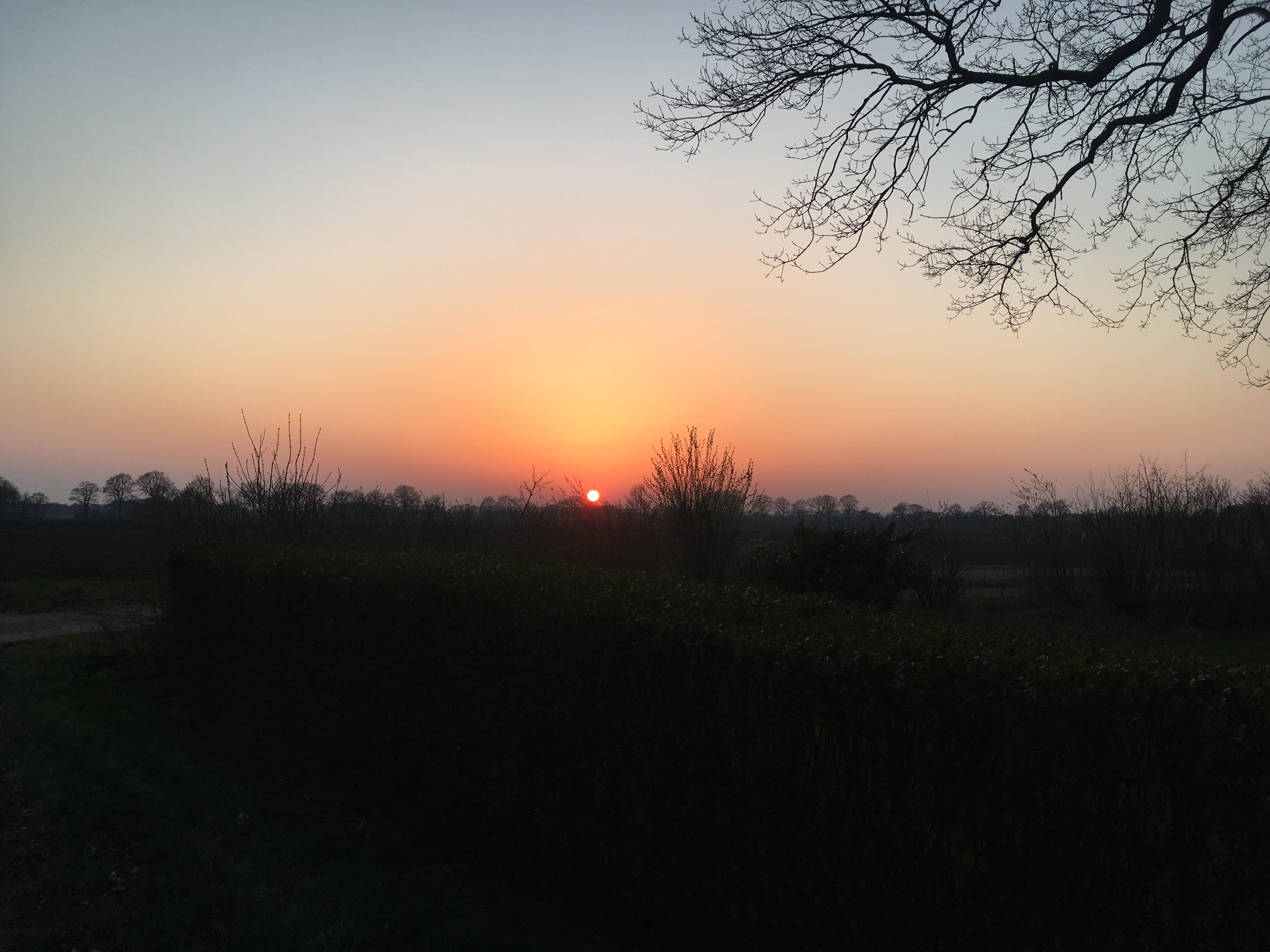 - image: 24
