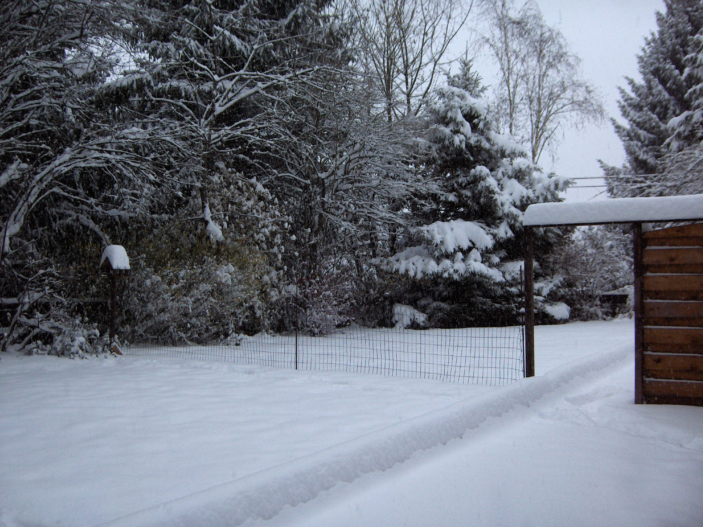 Maison nature à Achouffe