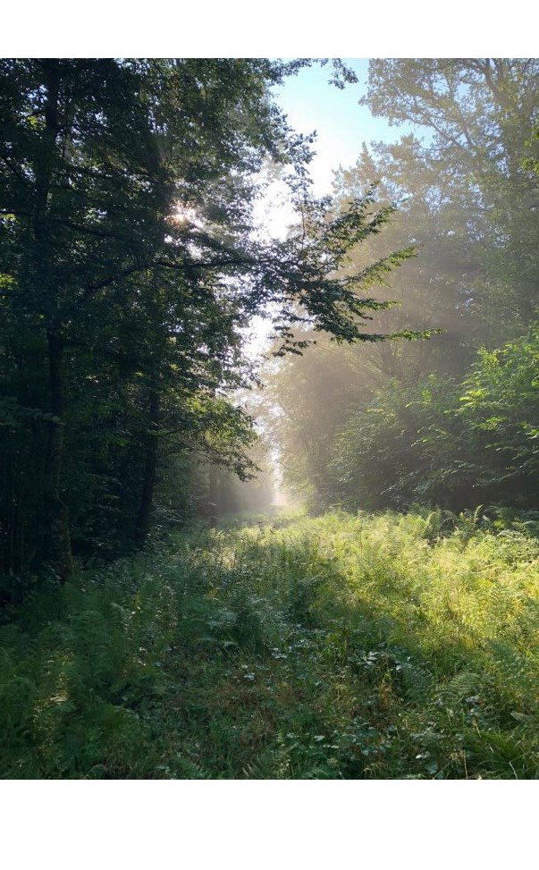 Natuurhuisje in Morville (FLORENNES)