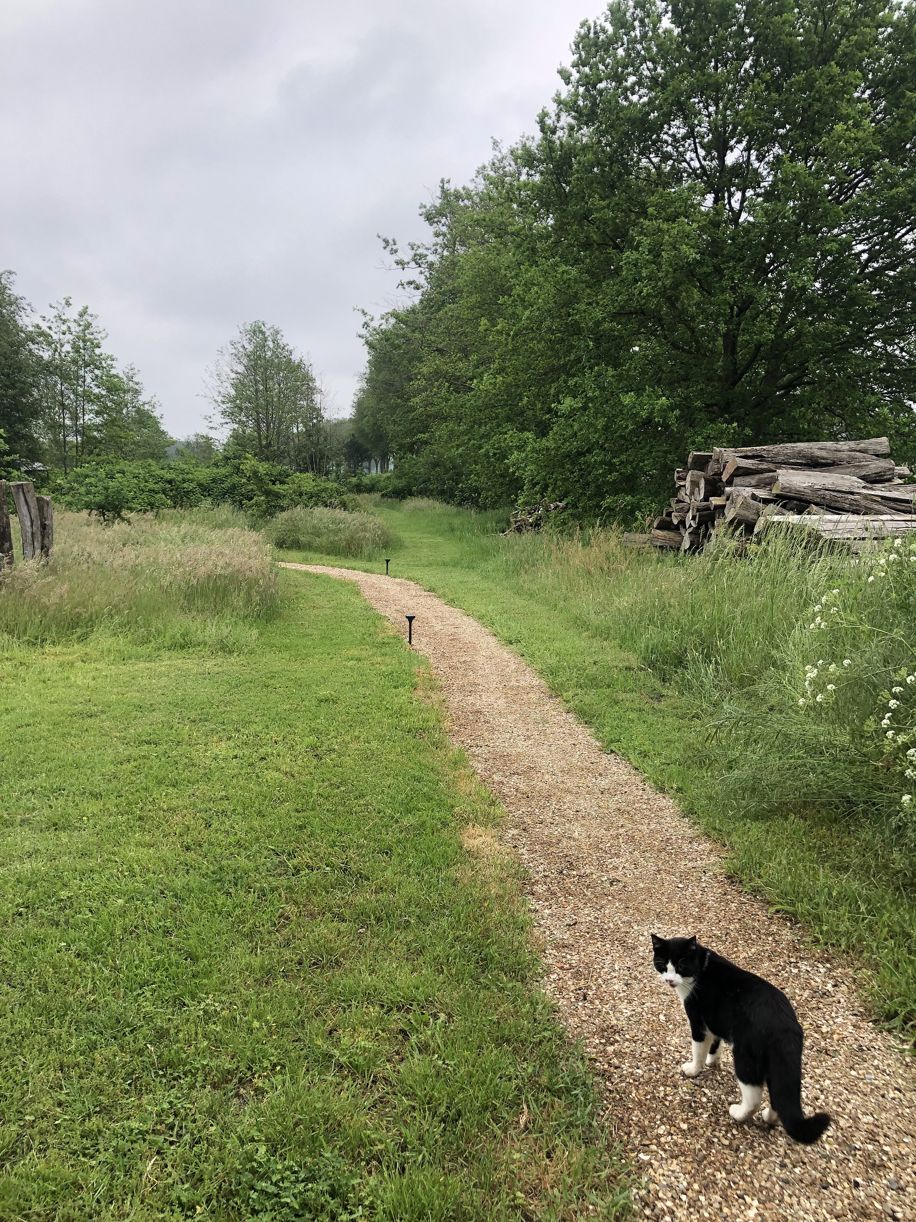 Naturhäuschen in Halle
